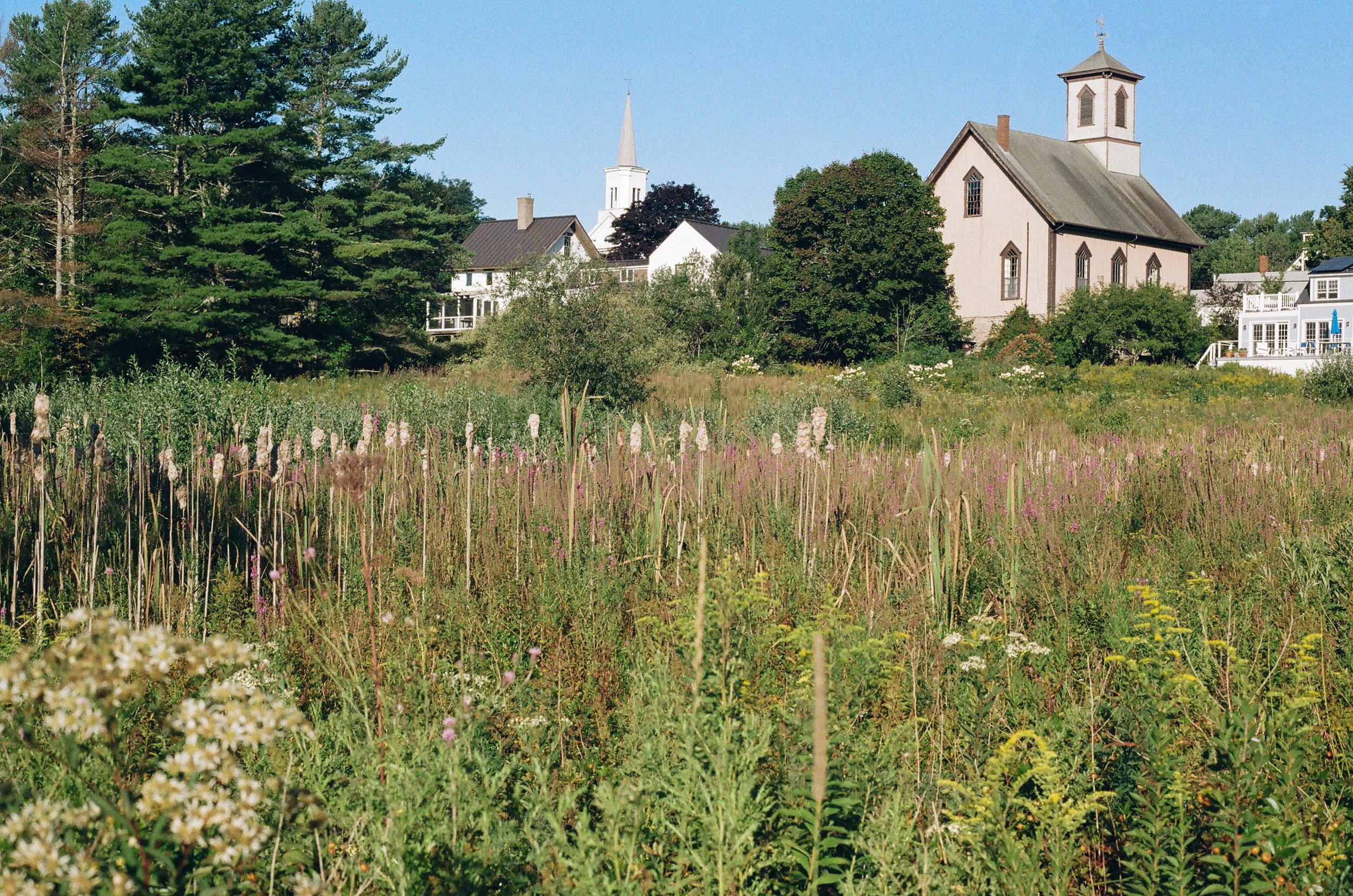 MaineWebsite-21.jpg