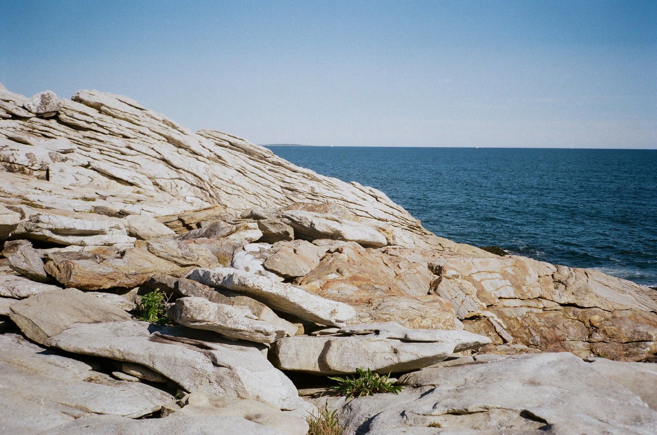 MaineWebsite-33.jpg