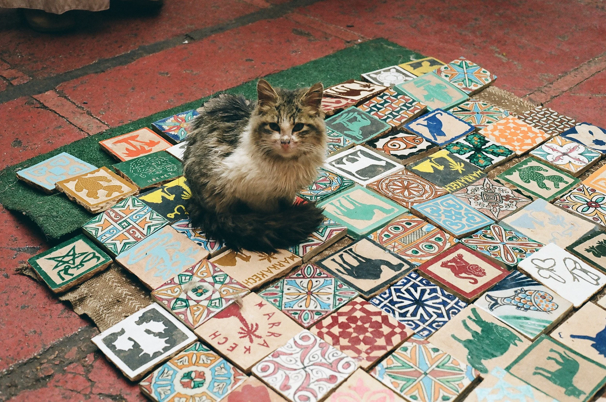 catstoprint-11.jpg