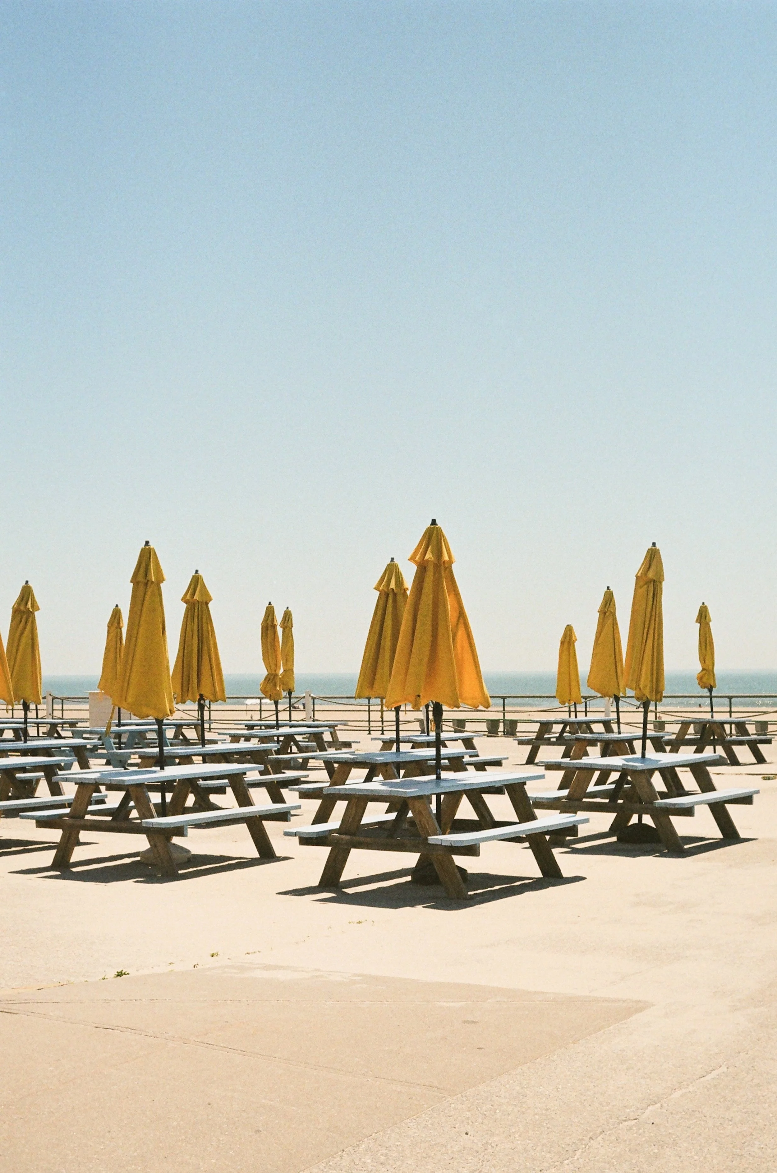 earlysummer-16.jpg