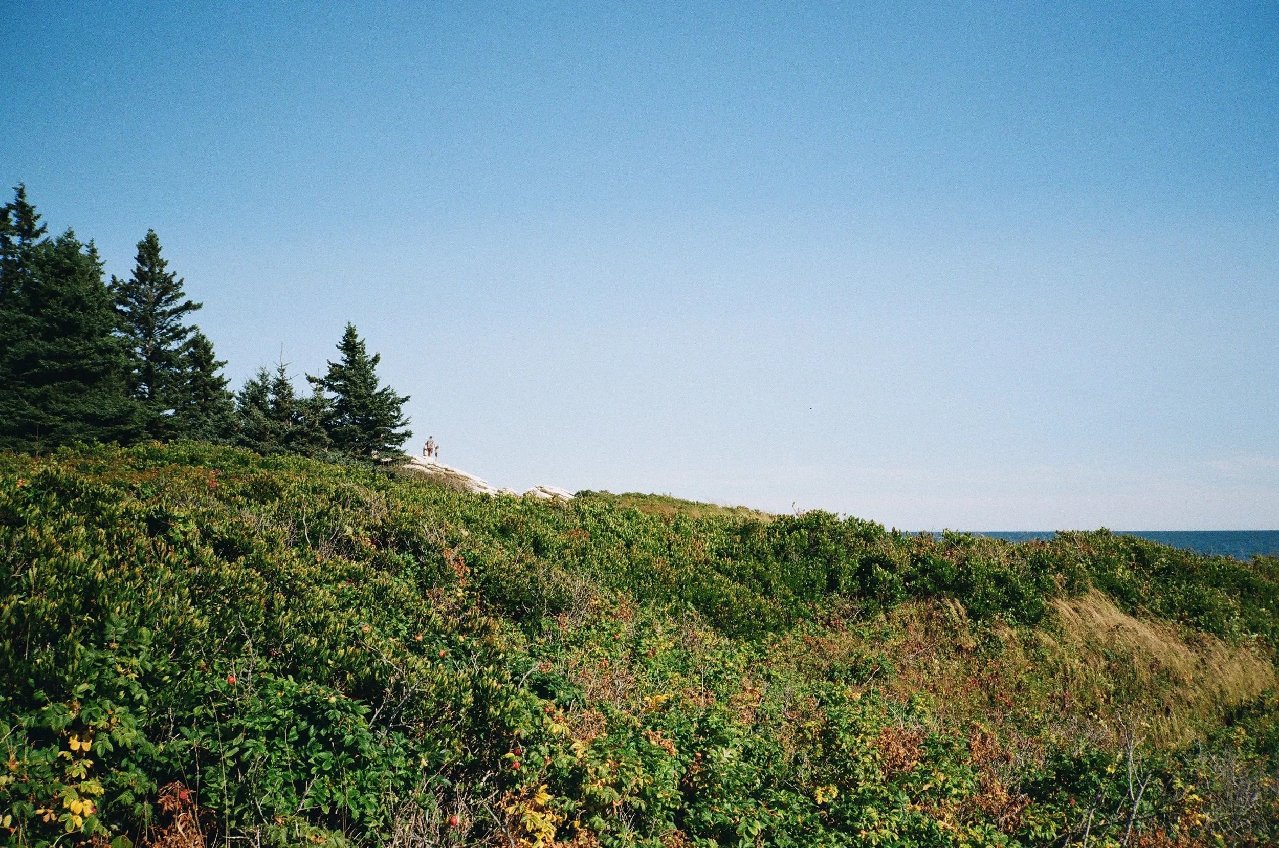 MaineWebsite-12.jpg