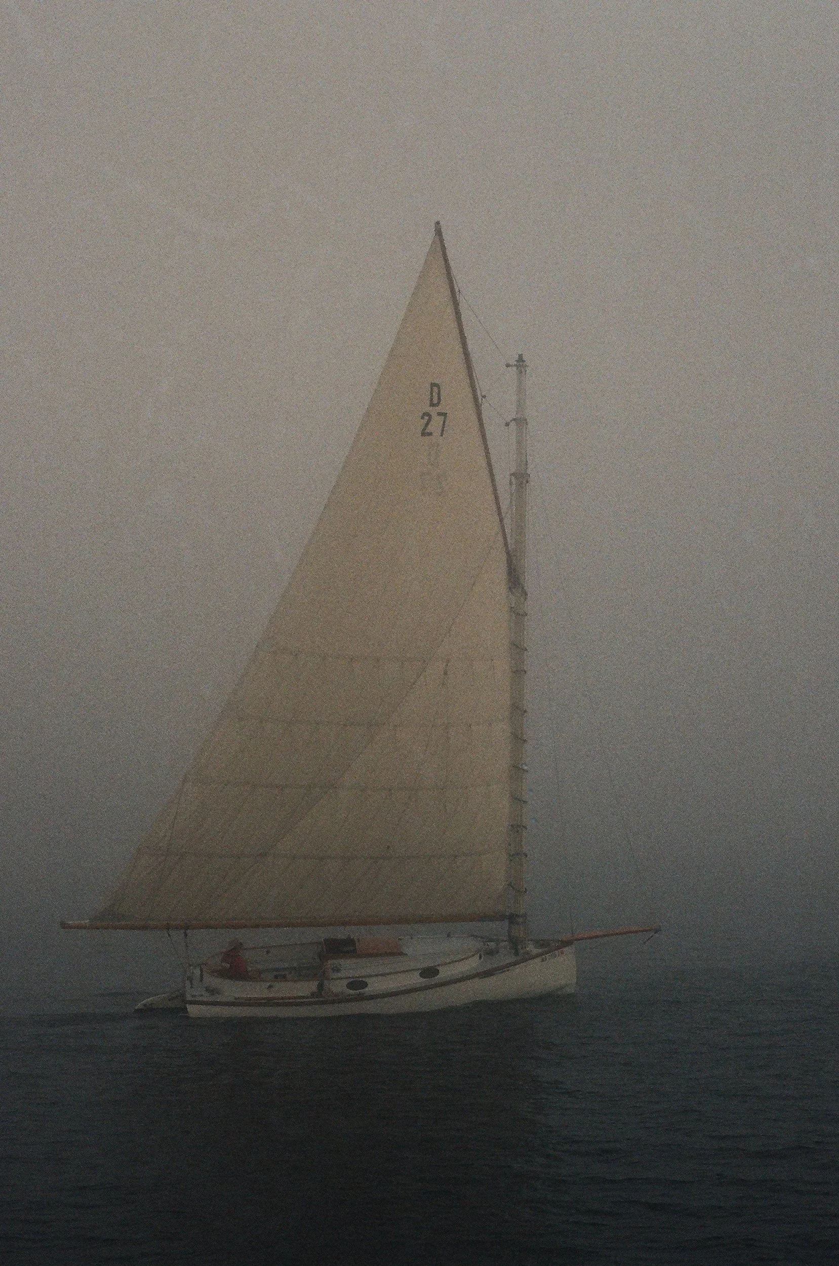 MaineWebsite-15.jpg