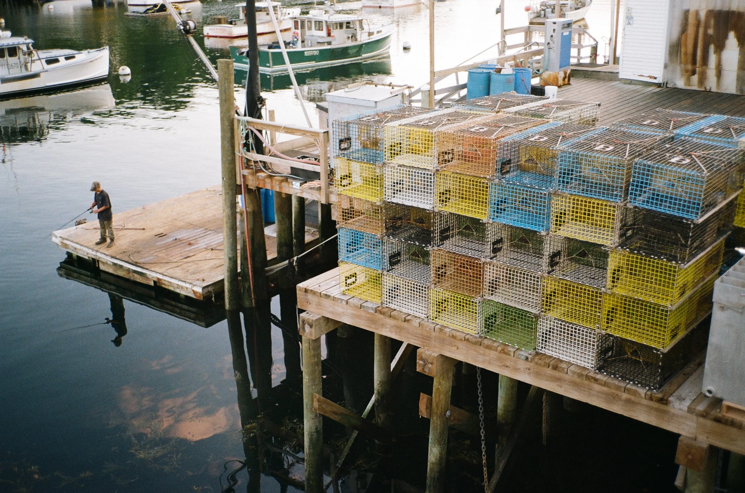 MaineWebsite-4.jpg