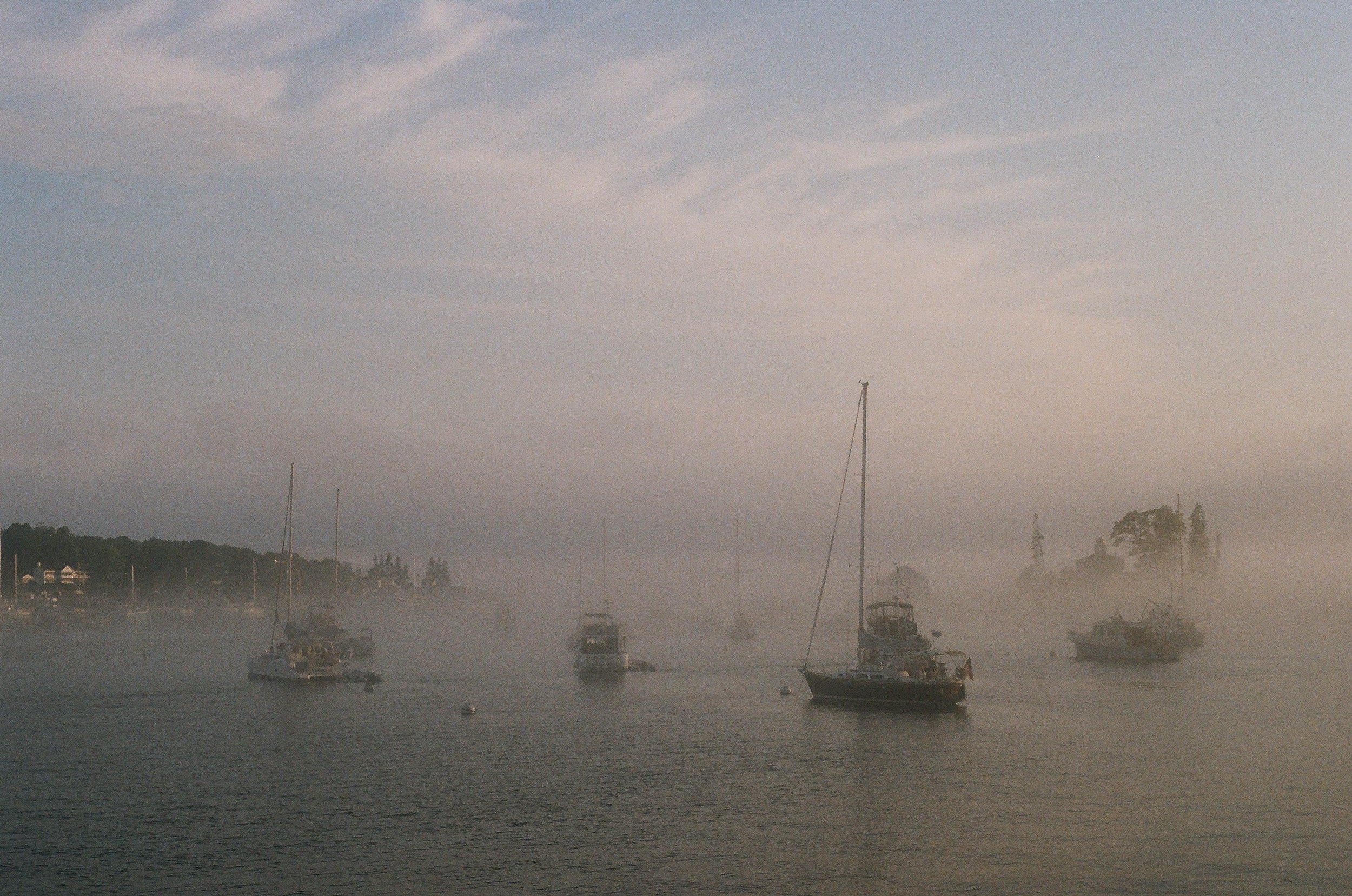MaineWebsite-20.jpg
