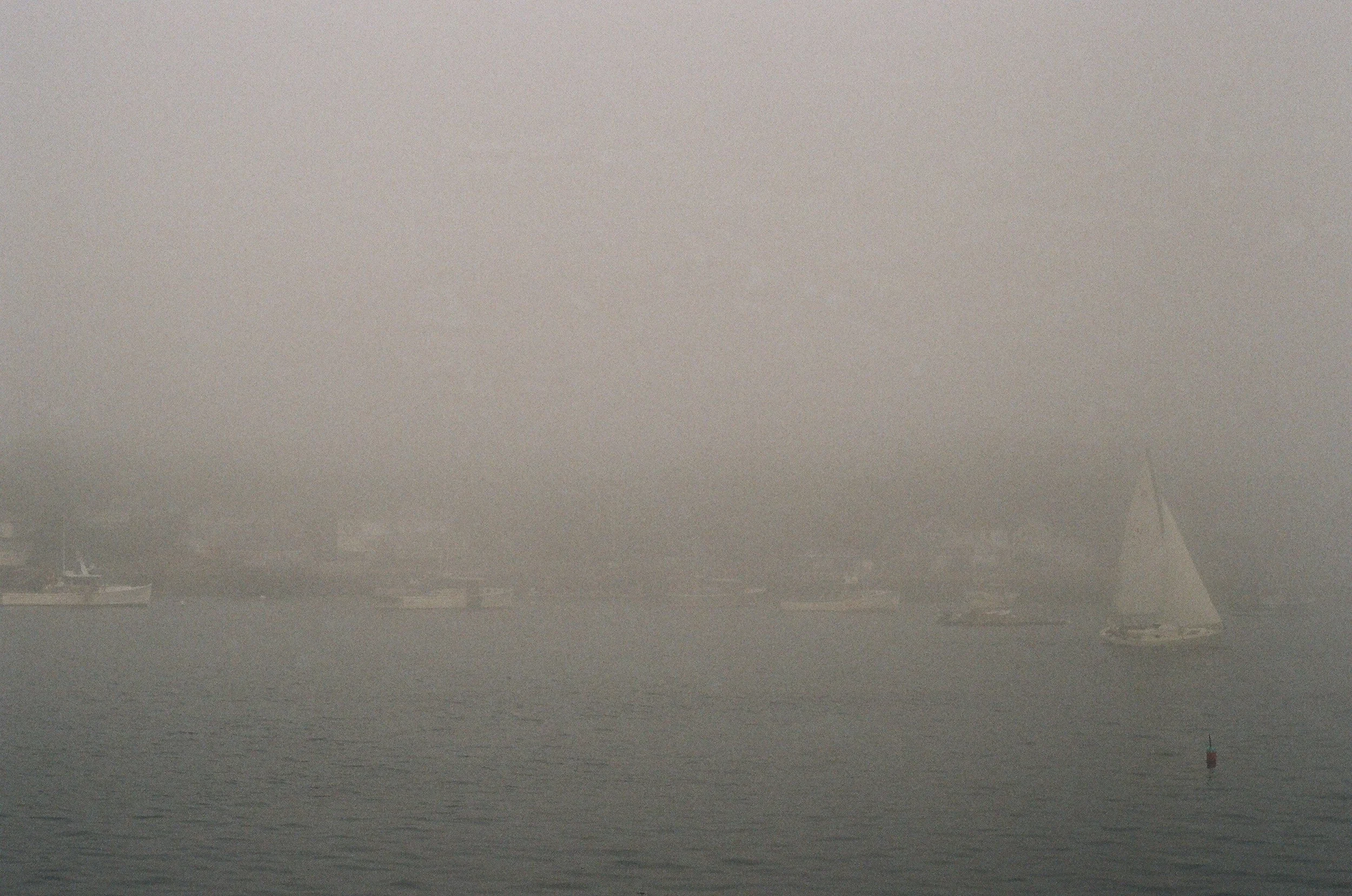 MaineWebsite-17.jpg