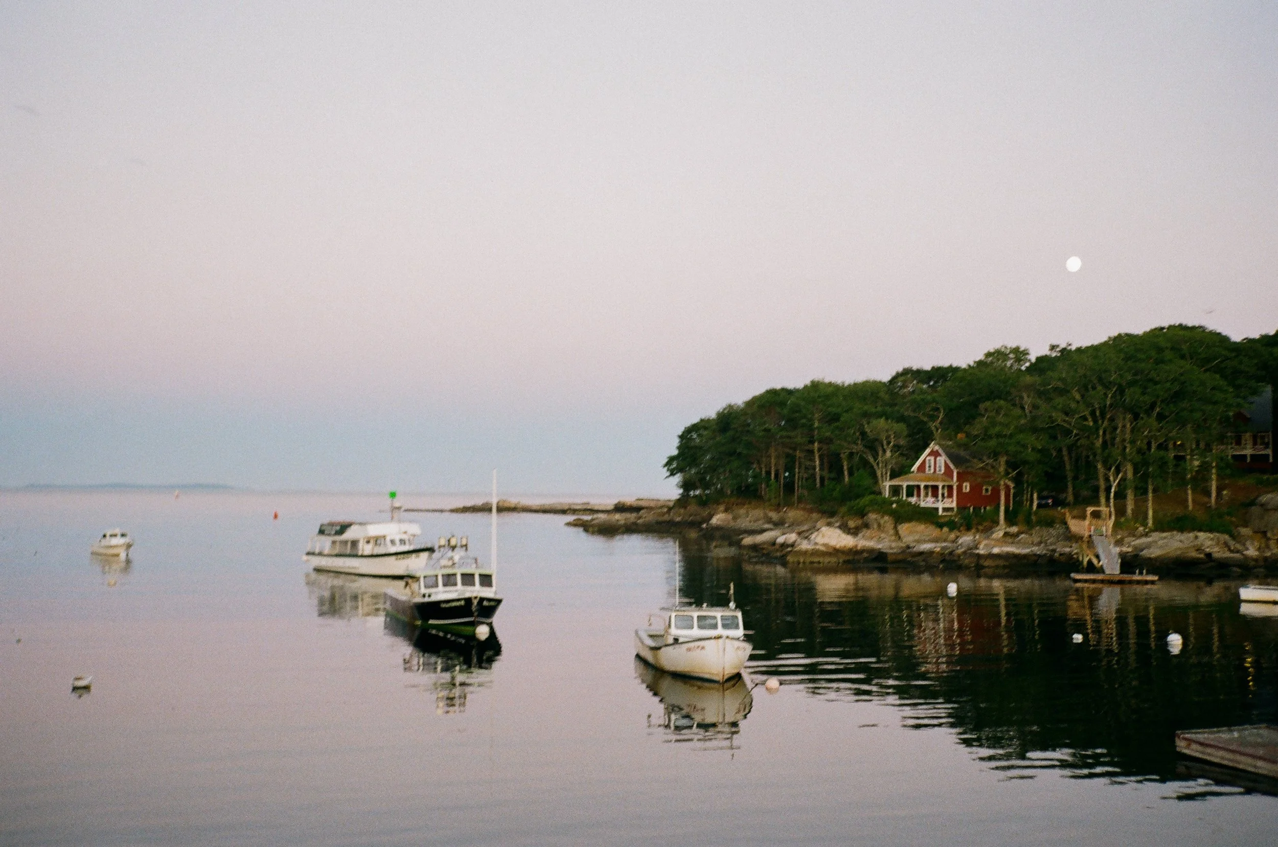 MaineWebsite-5.jpg