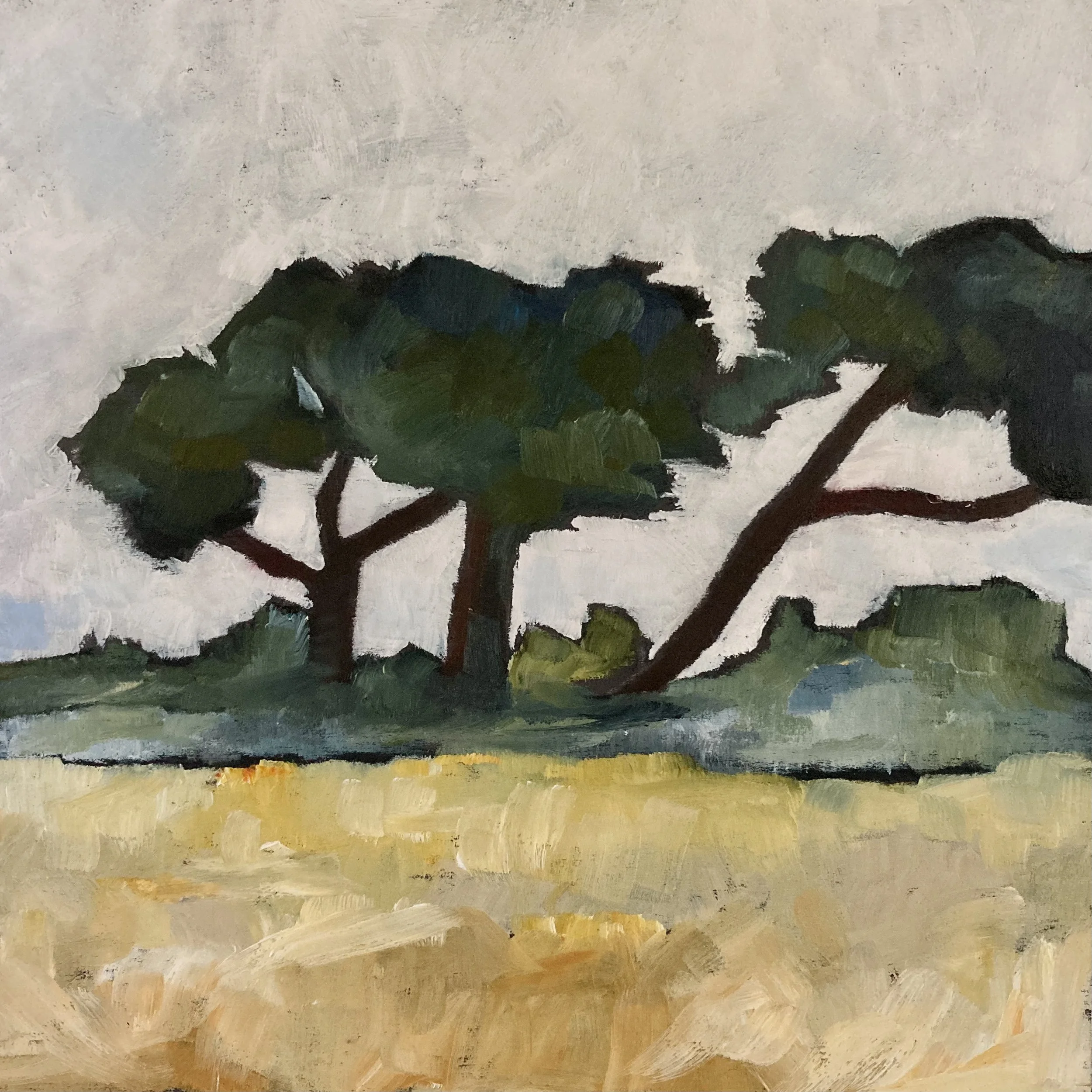 Tree 29