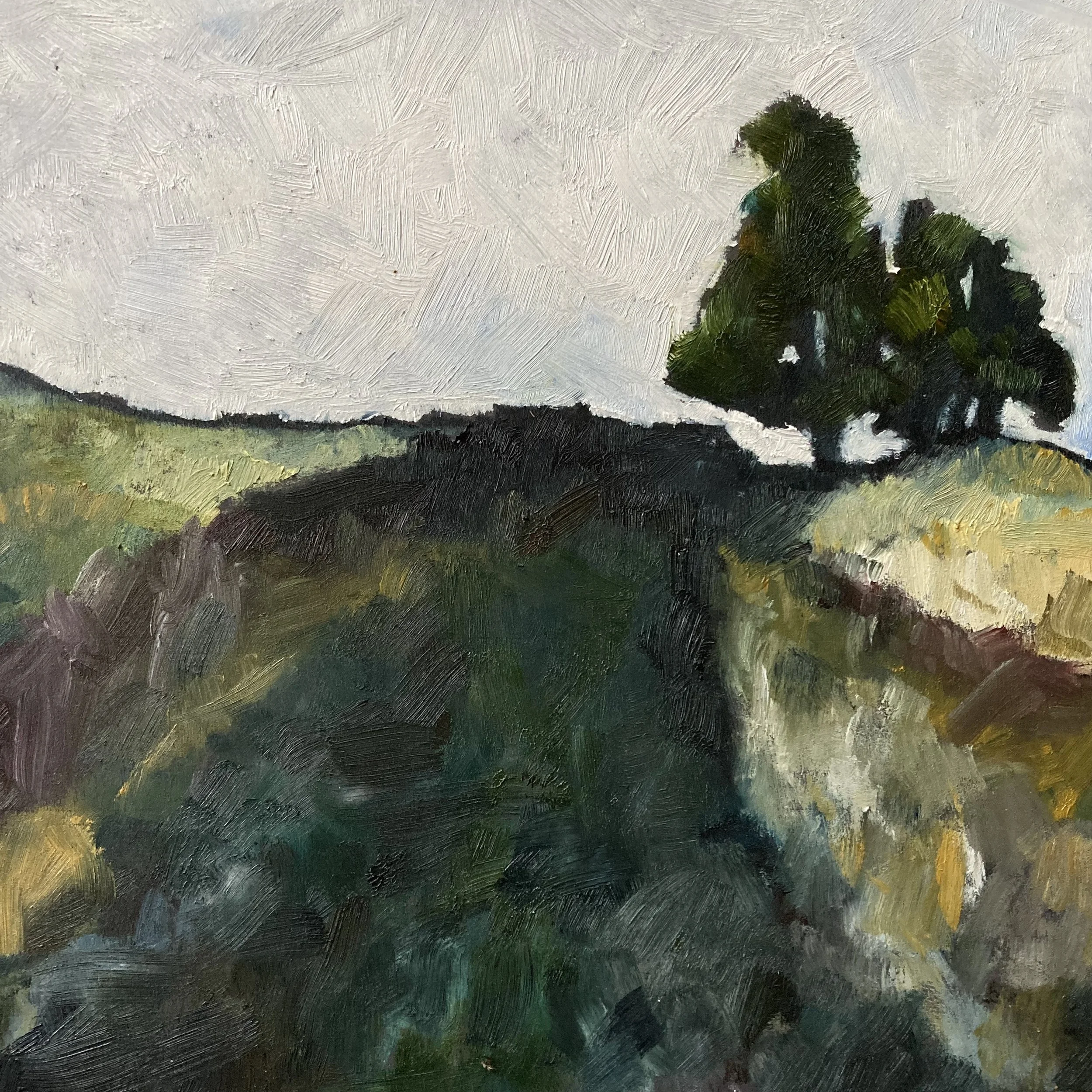 Tree 31