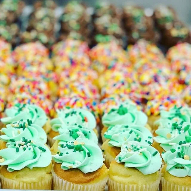 Our minis are all dressed up and ready to go!