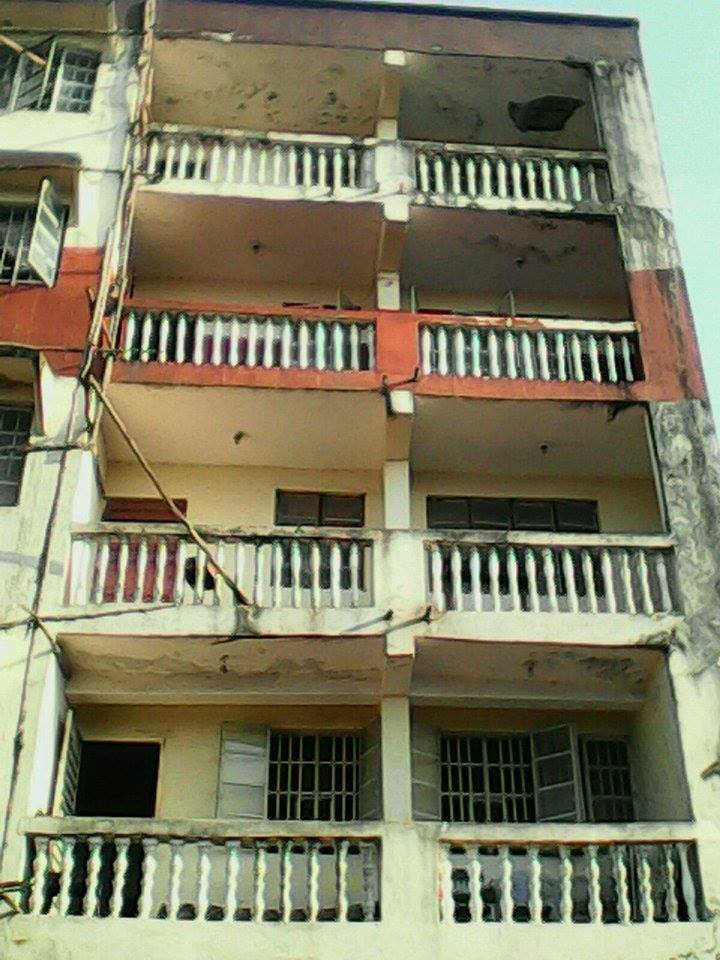 Donation Matching for Women in Action Day: Valentine's Day!