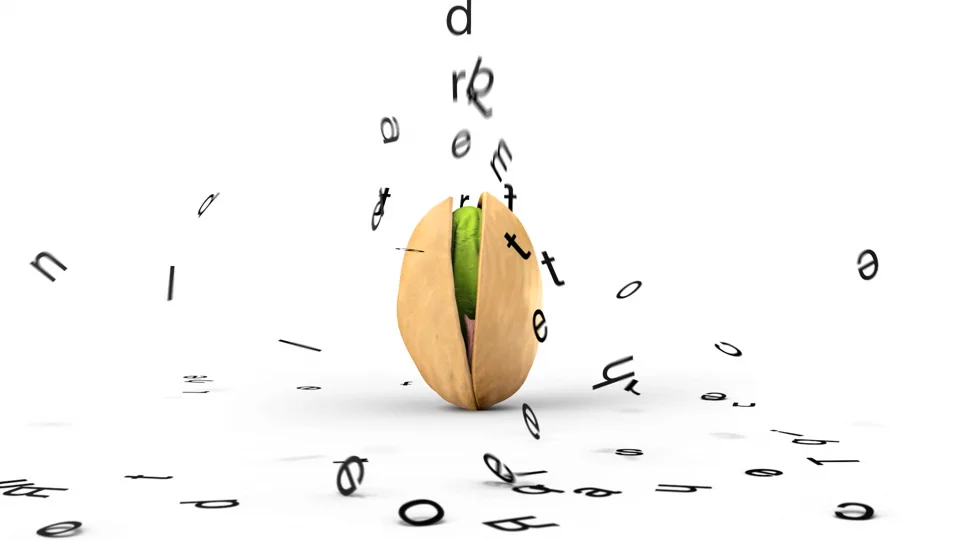 webSite_0011_Layer 36.jpg