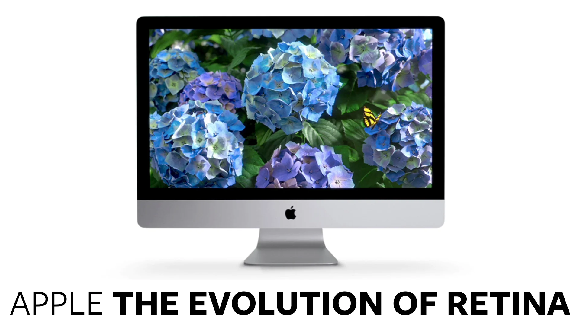 apple03.jpg