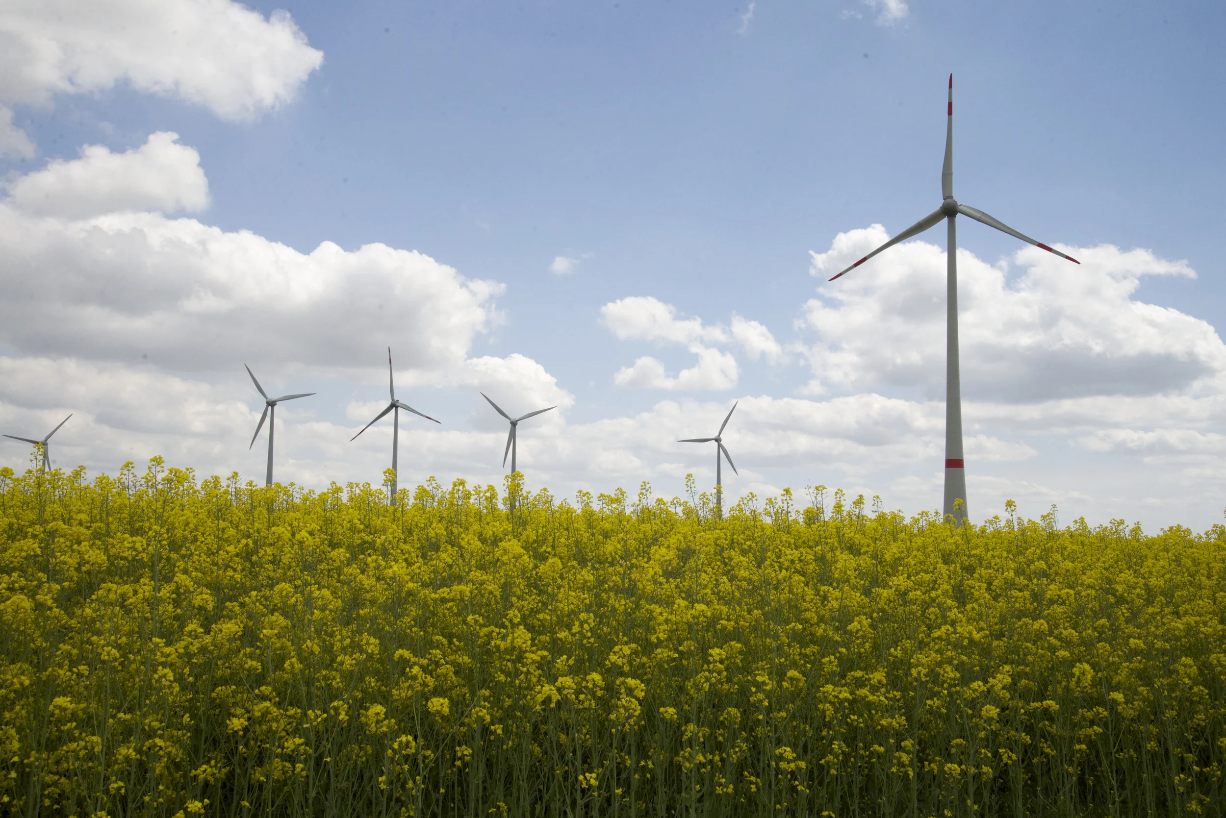 Windfarm, Feldheim, Germany.
