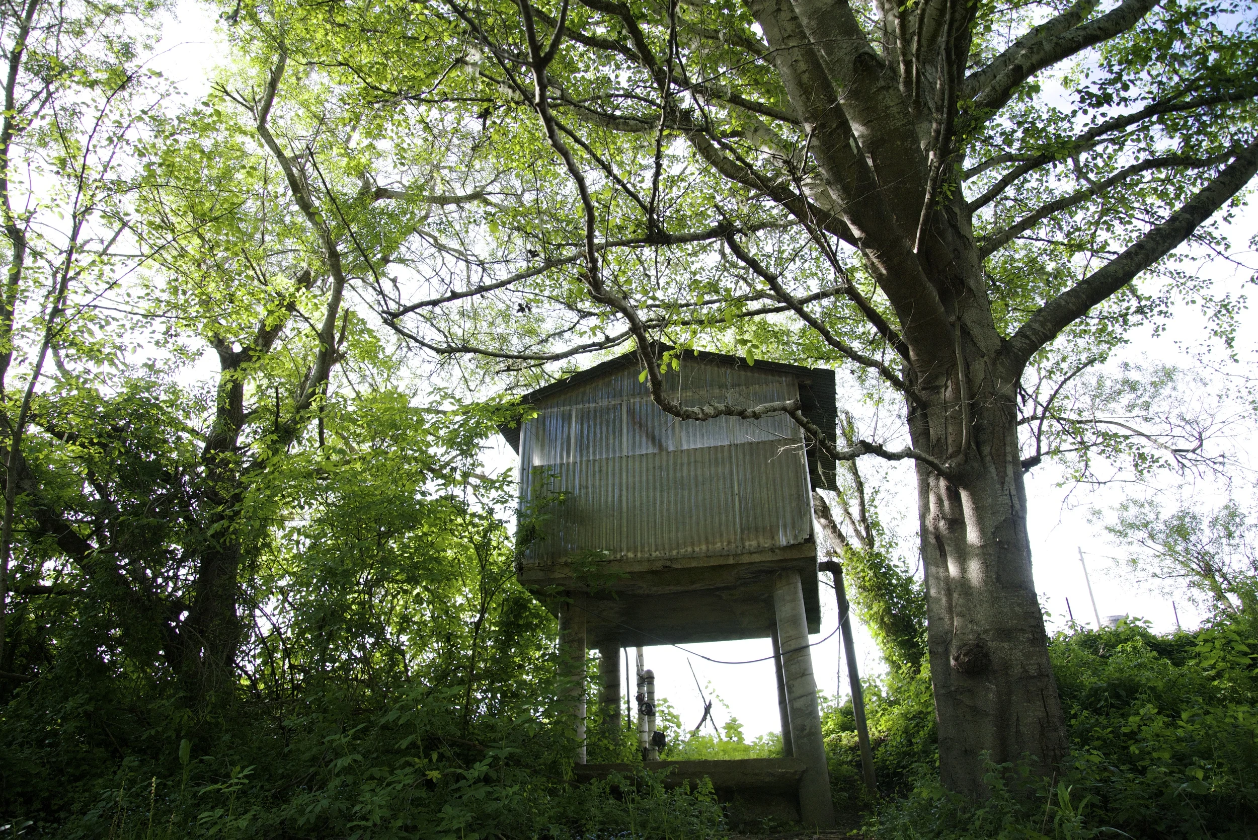 Pumphouse
