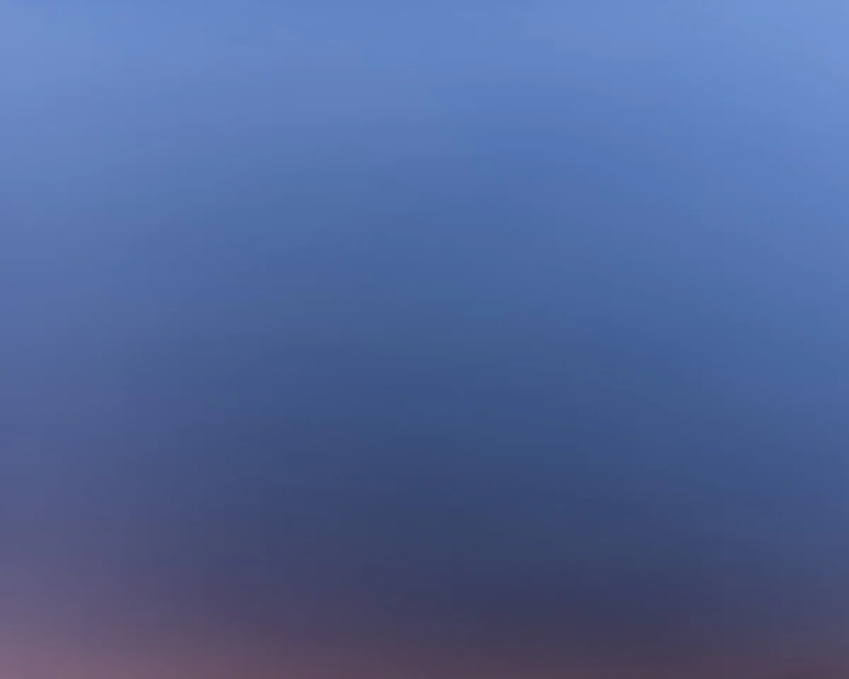 signalnoise-36.jpg
