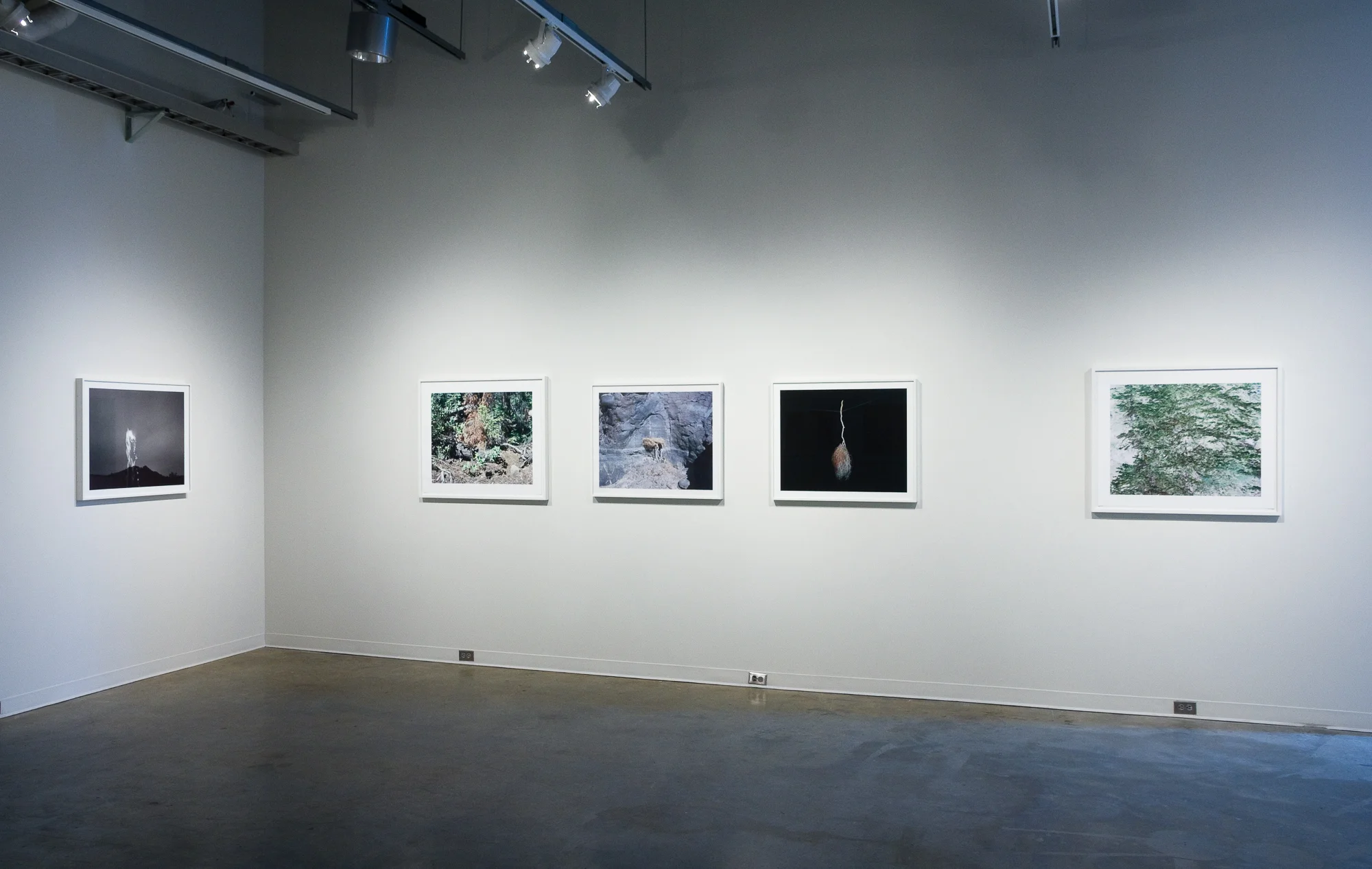 Night of the Moth, ML; Watson, AR; Untitled, ML; Untitled, ML; Untitled, AR