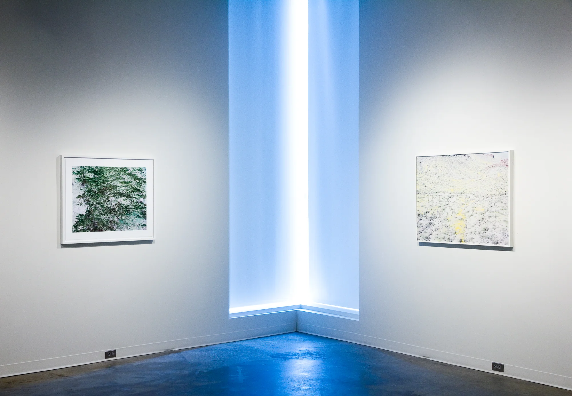 Untitled, AR; Bloom, ML