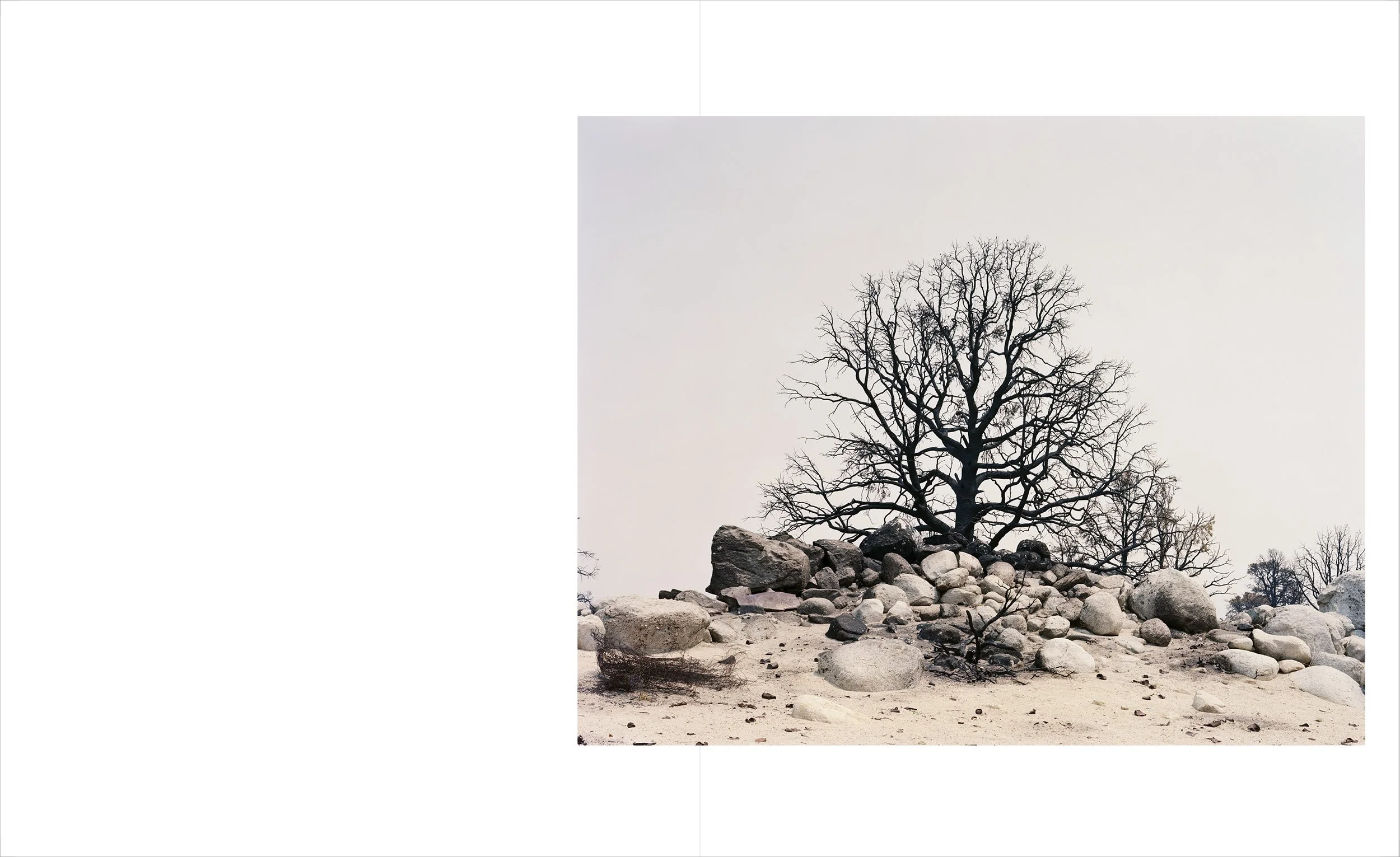 SierraBookConcept1OL-5.jpg