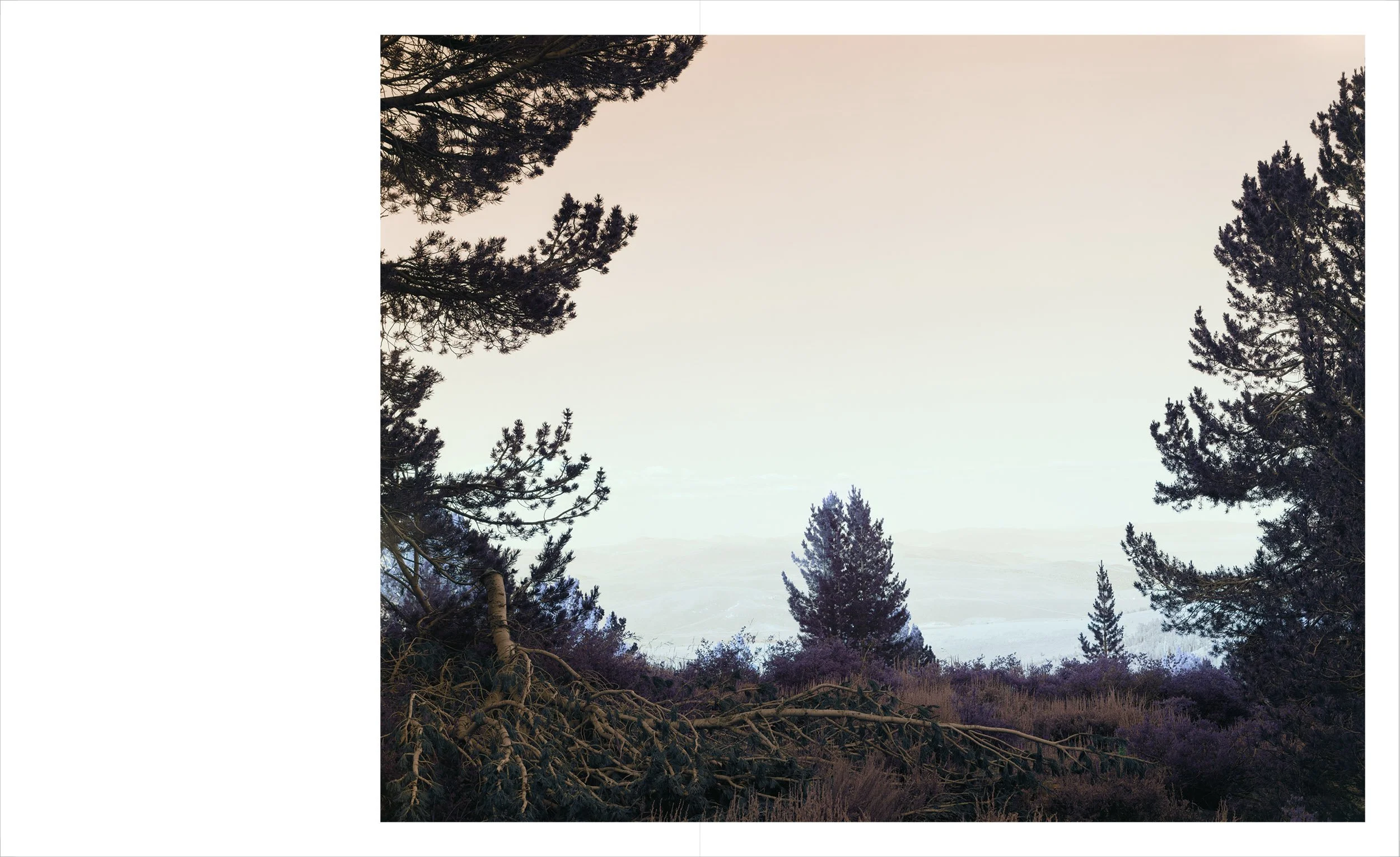 SierraBookConcept1OL-6.jpg