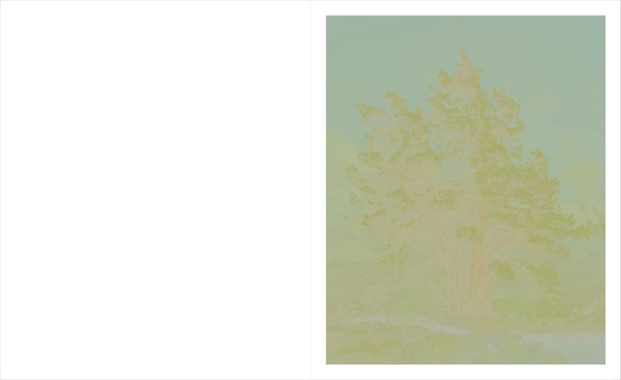 SierraBookConcept1OL-15.jpg
