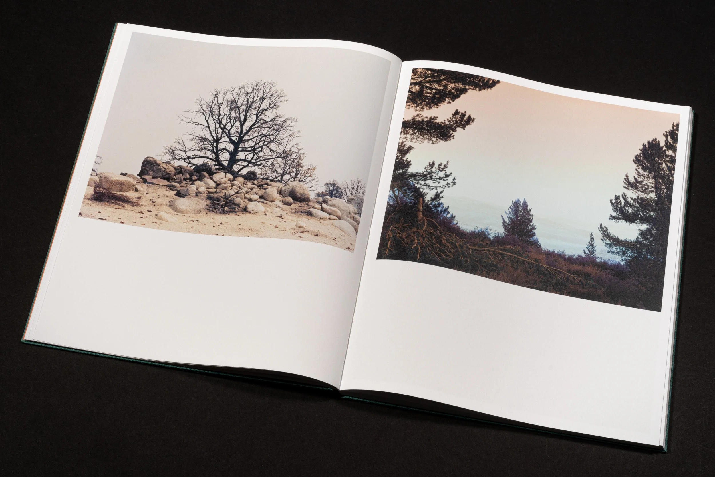RothmanSierraBook-8.jpg