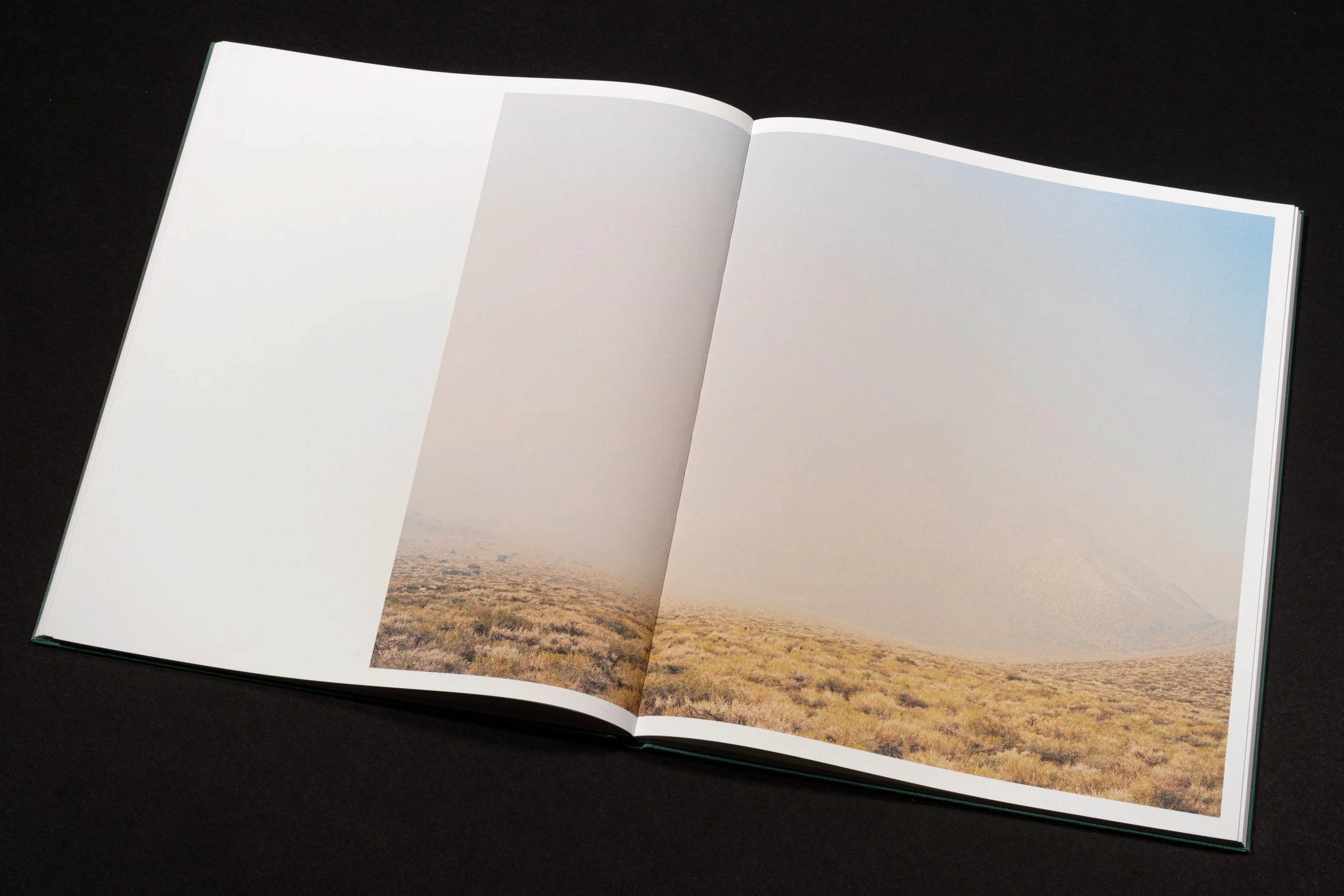 RothmanSierraBook-13.jpg