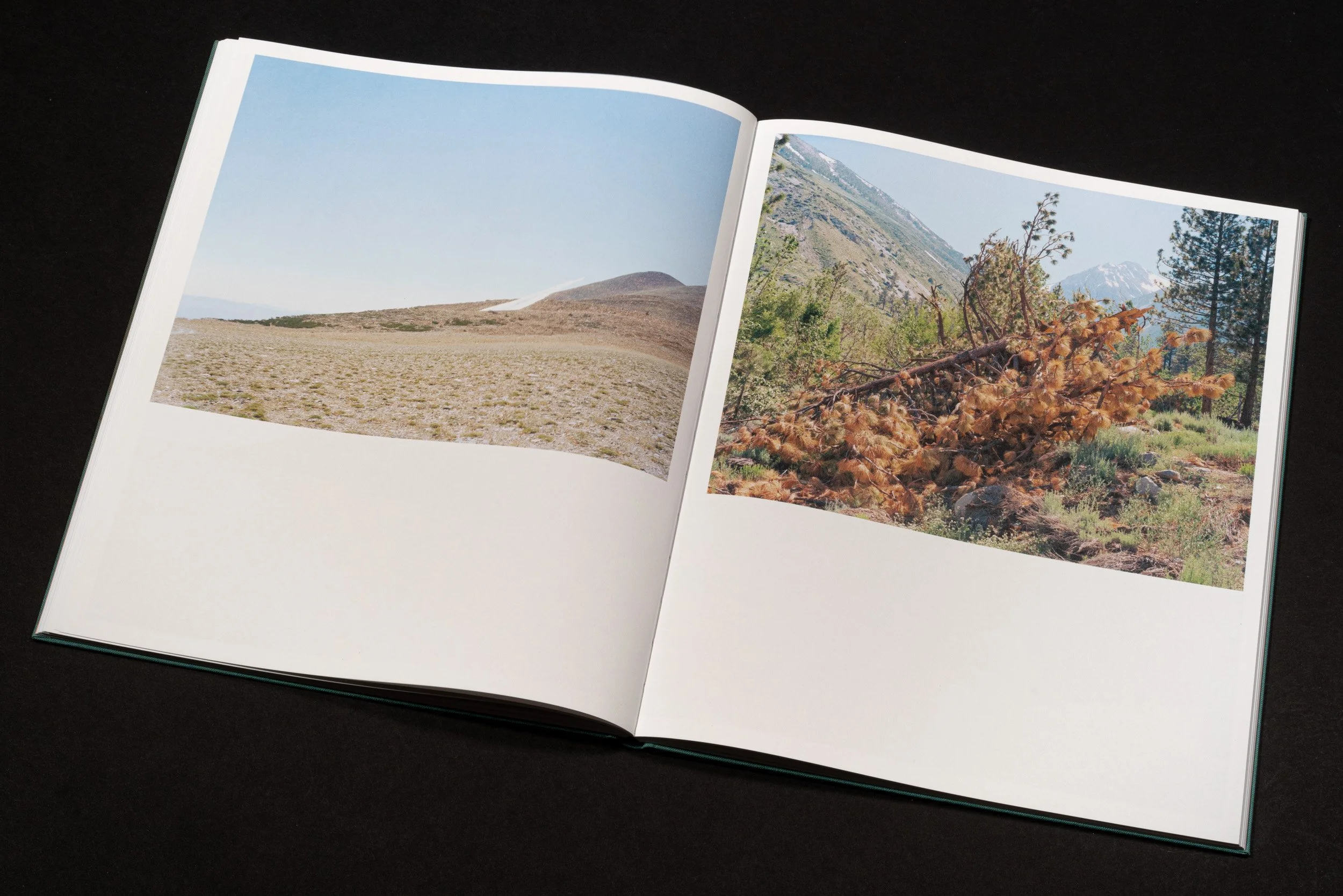 RothmanSierraBook-14.jpg