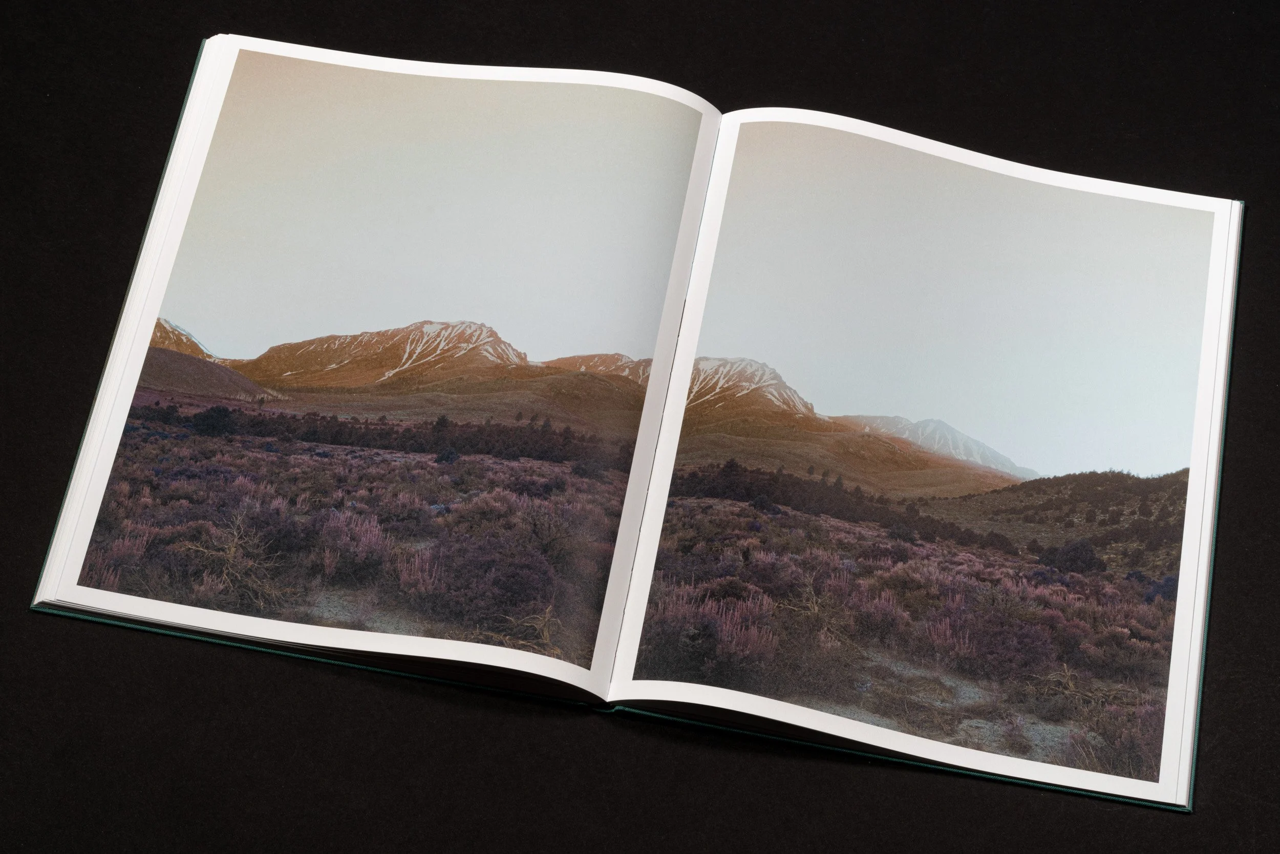 RothmanSierraBook-17.jpg
