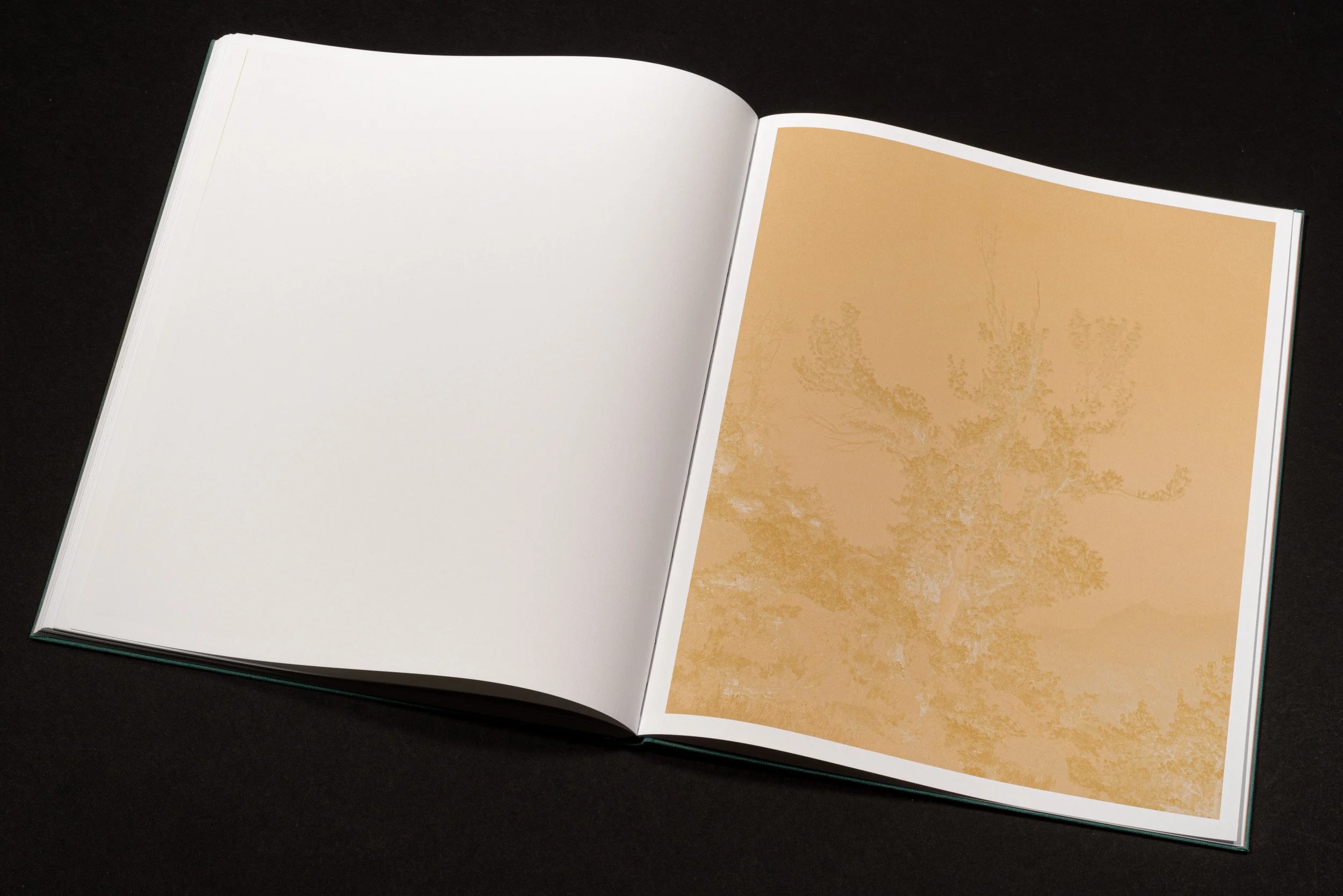 RothmanSierraBook-20.jpg