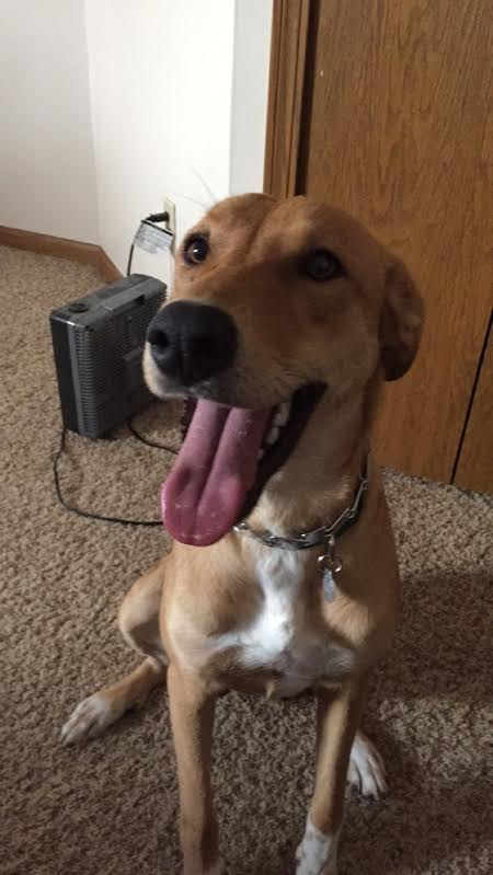 Gretta was ready for play time!