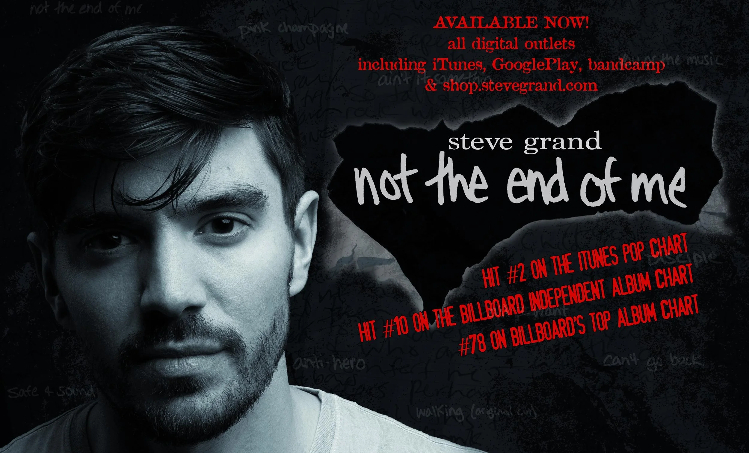 SG_Not the end of me_poster_24 x 18postrelease.jpg