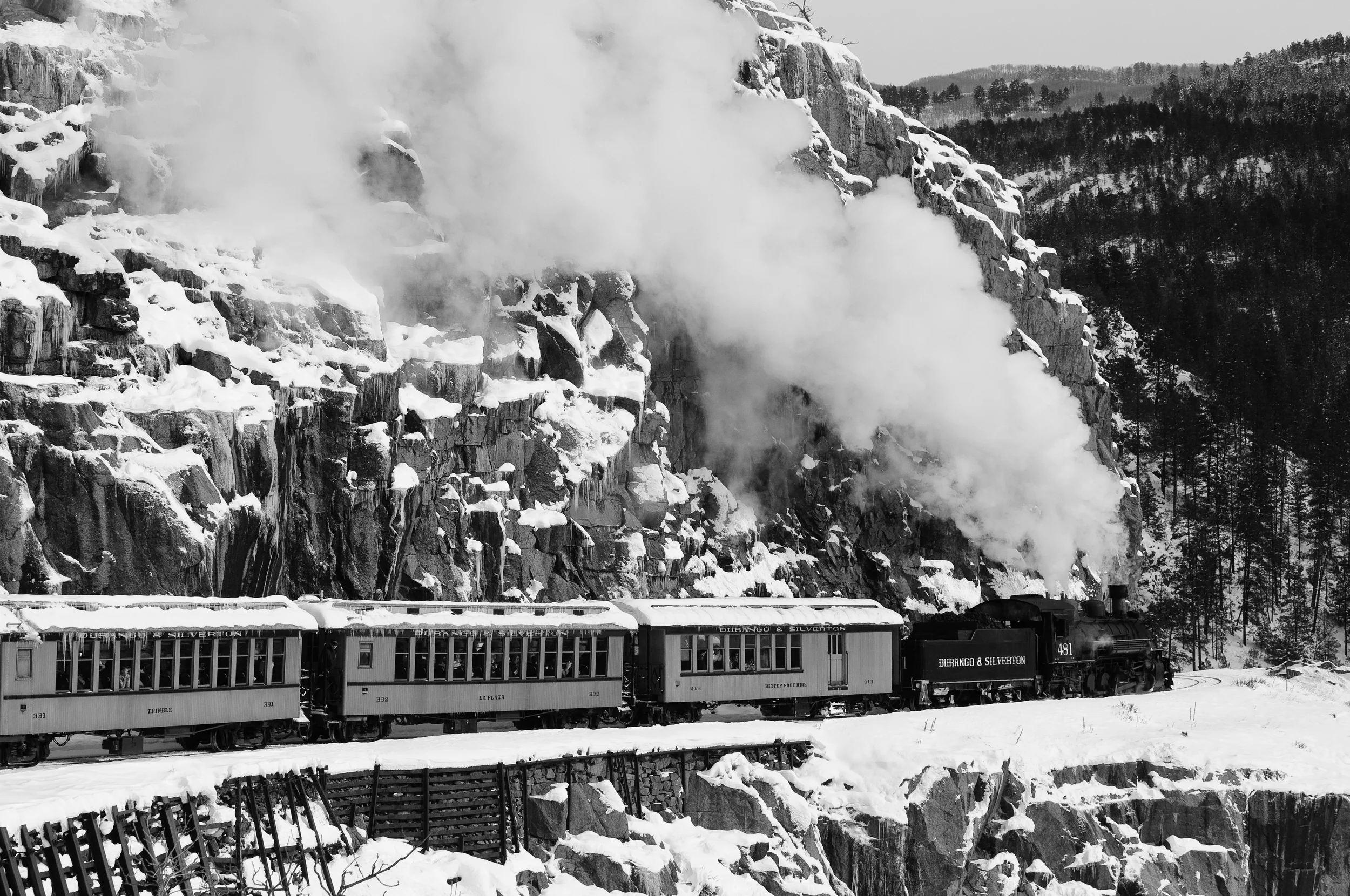 DSC_6080.jpg
