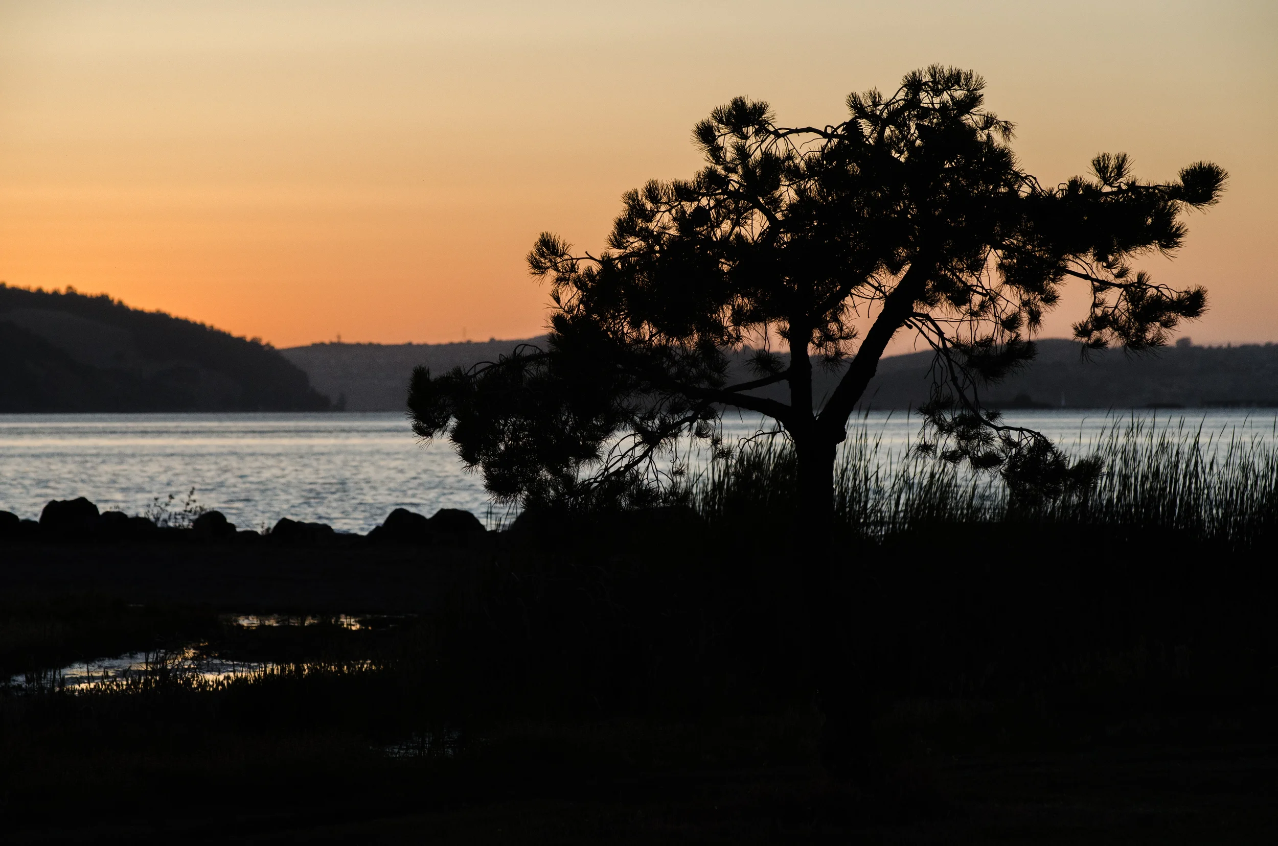 STA_6913.jpg