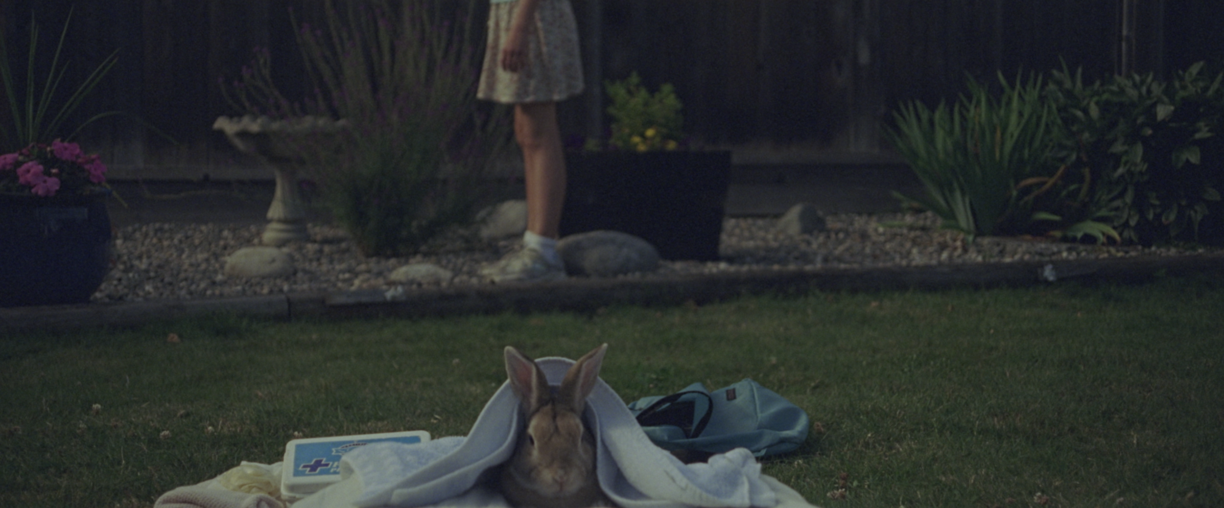 Screen Shot 2017-03-26 at 5.16.18 PM.png