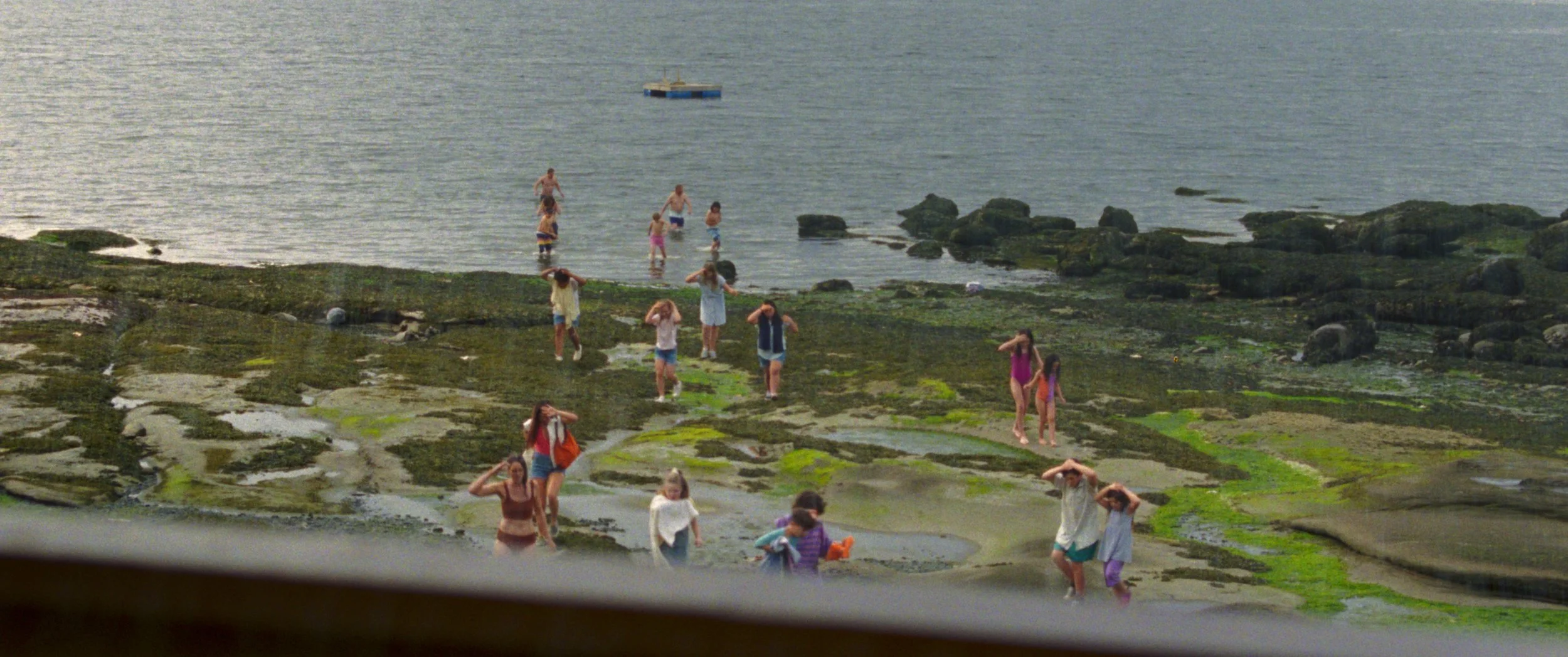 Seagrass_1 copy.jpg