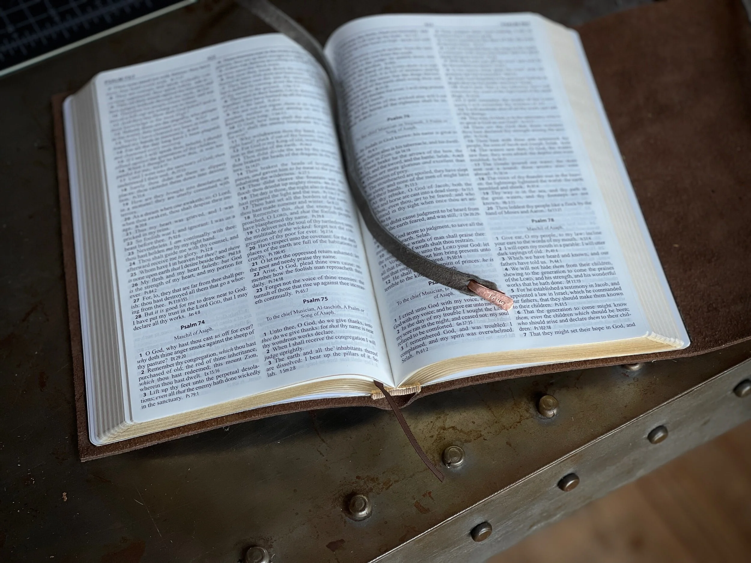 1BFDE176-A55A-428D-949E-9F9704069F21