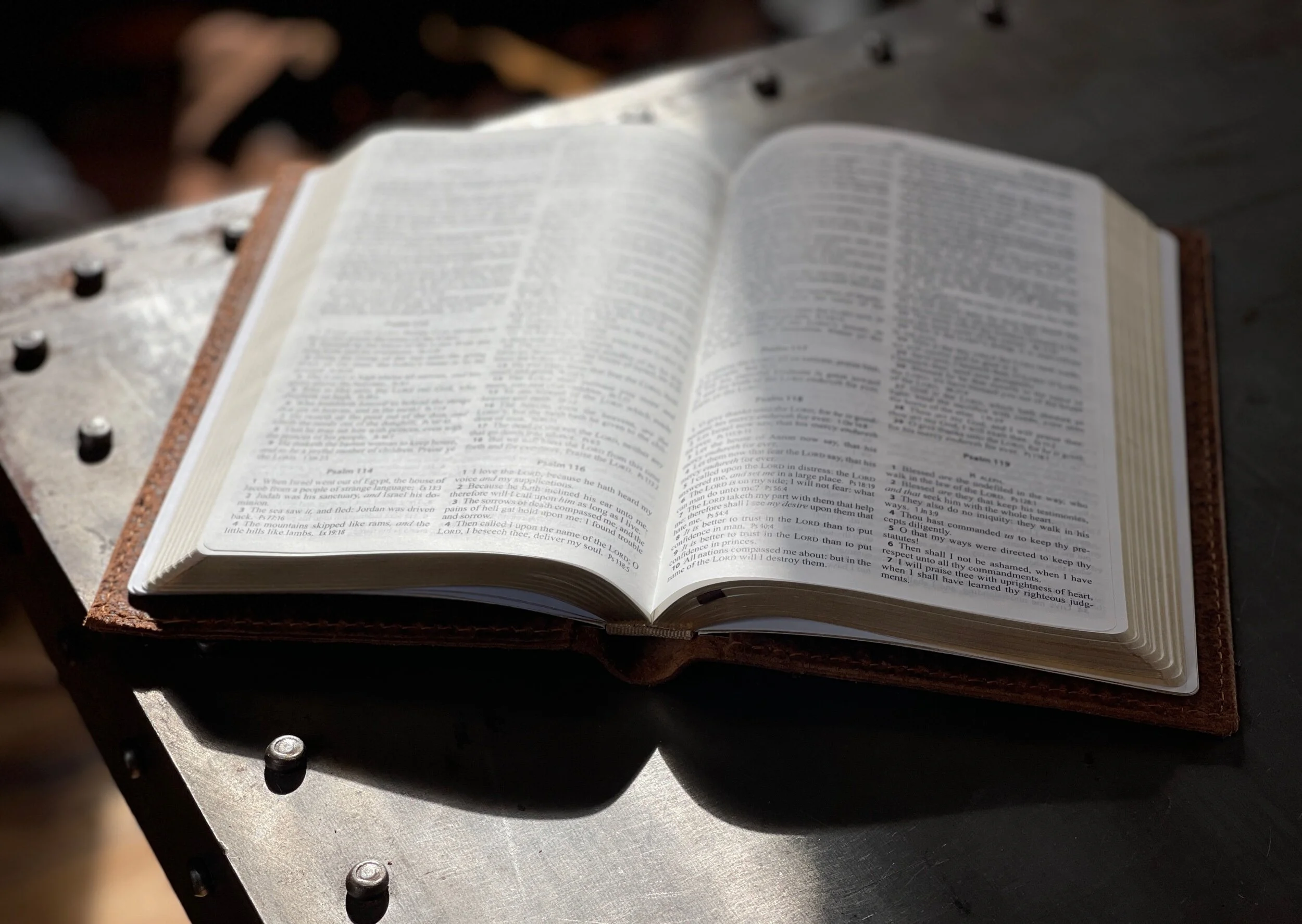 FD03EAD2-BE8F-4F8F-B64F-731A83CF7BD3