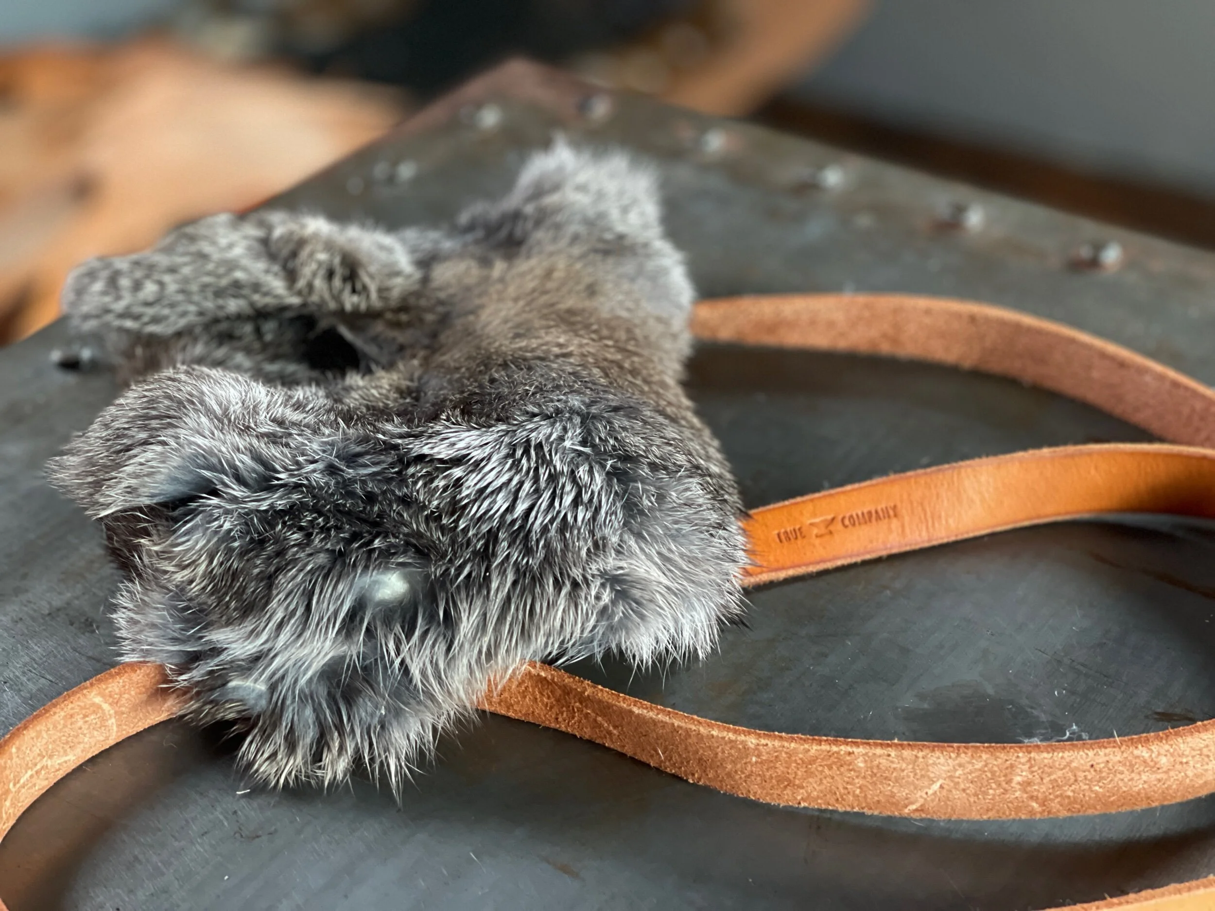 703923C8-47B7-4017-94E0-12FDD3E08C0A