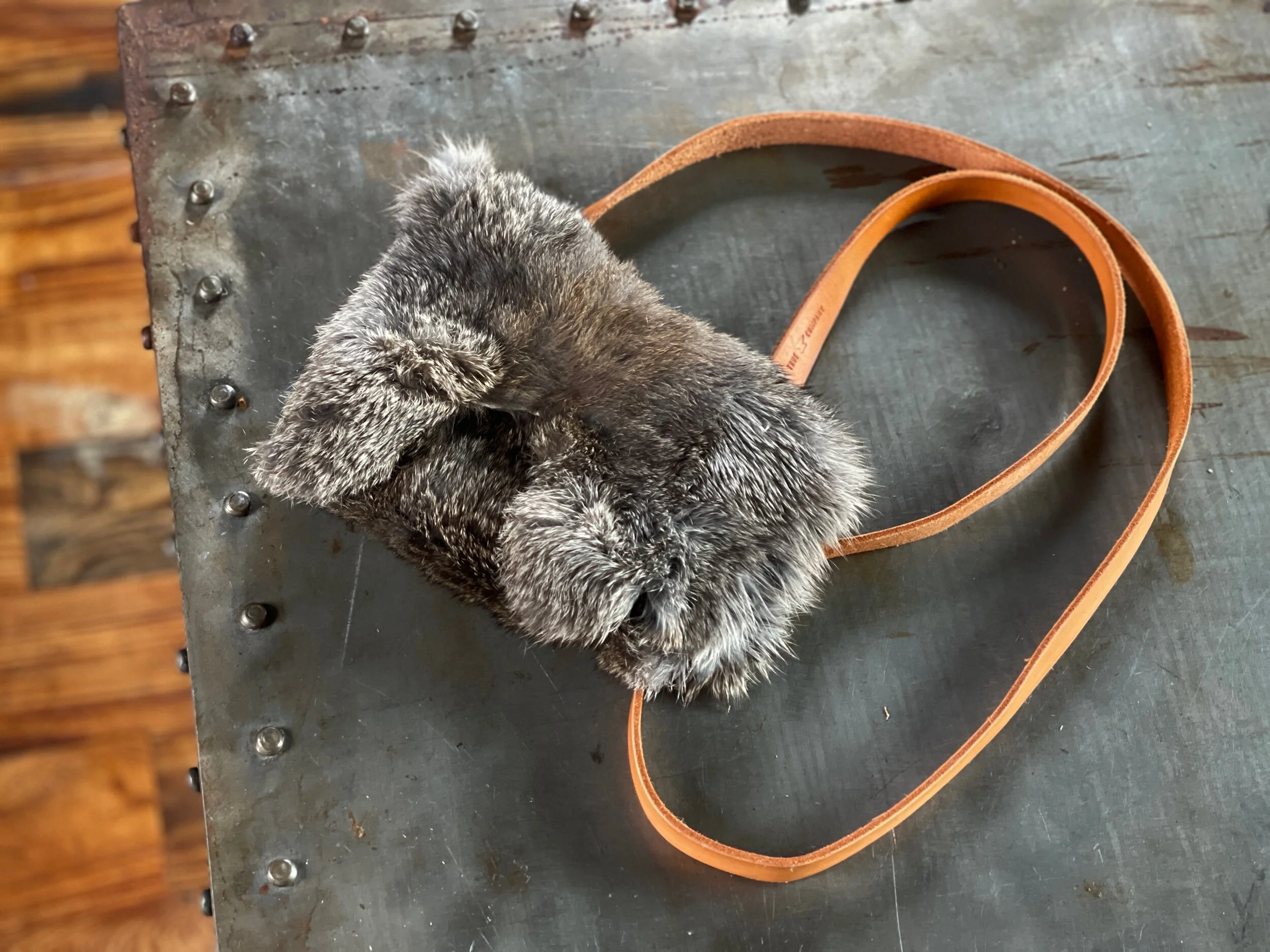 39CB1EB8-5D50-4D43-9BA2-CBCBDD8700E8