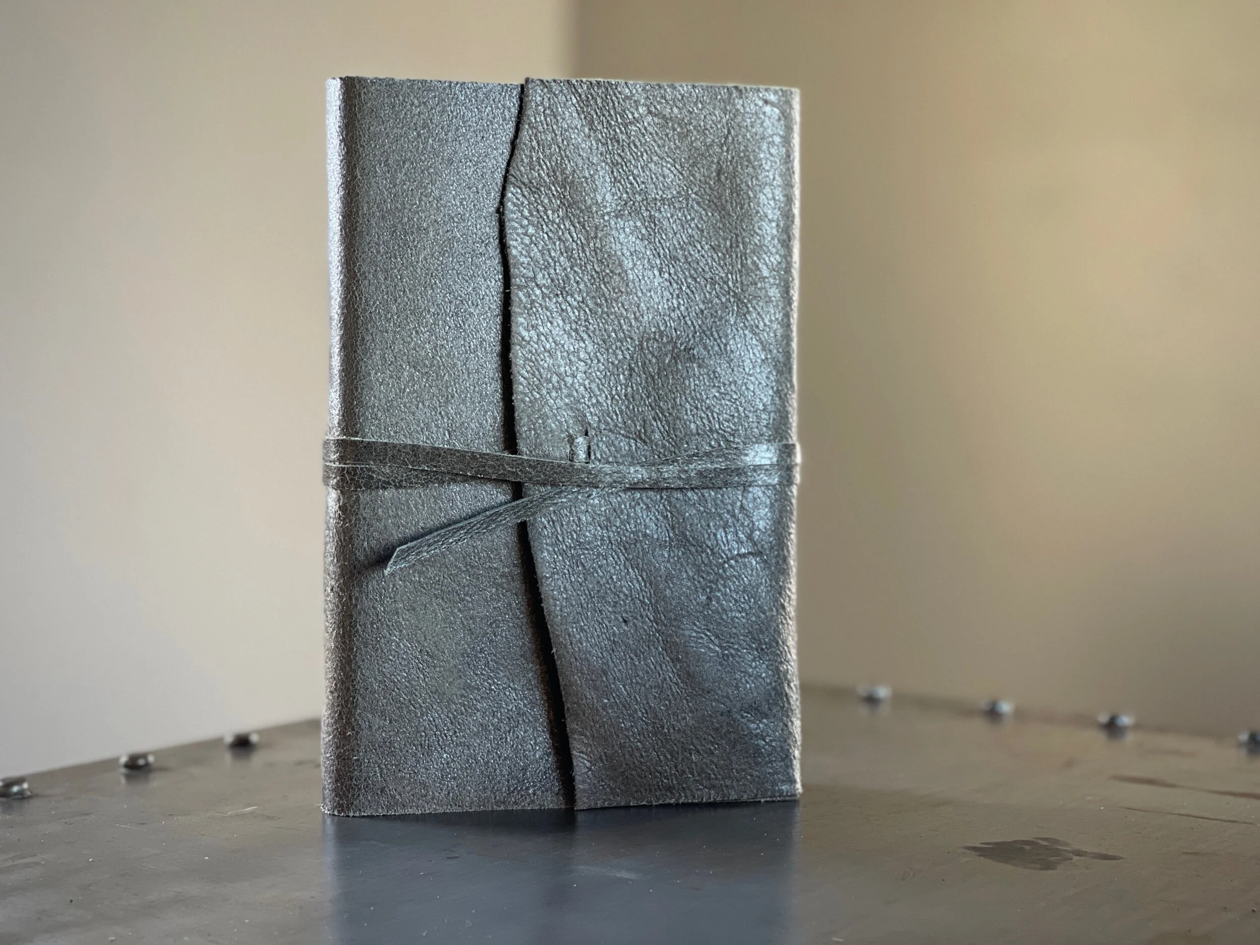 FE9EDE0E-9708-446C-AD3E-068CF9F66A29