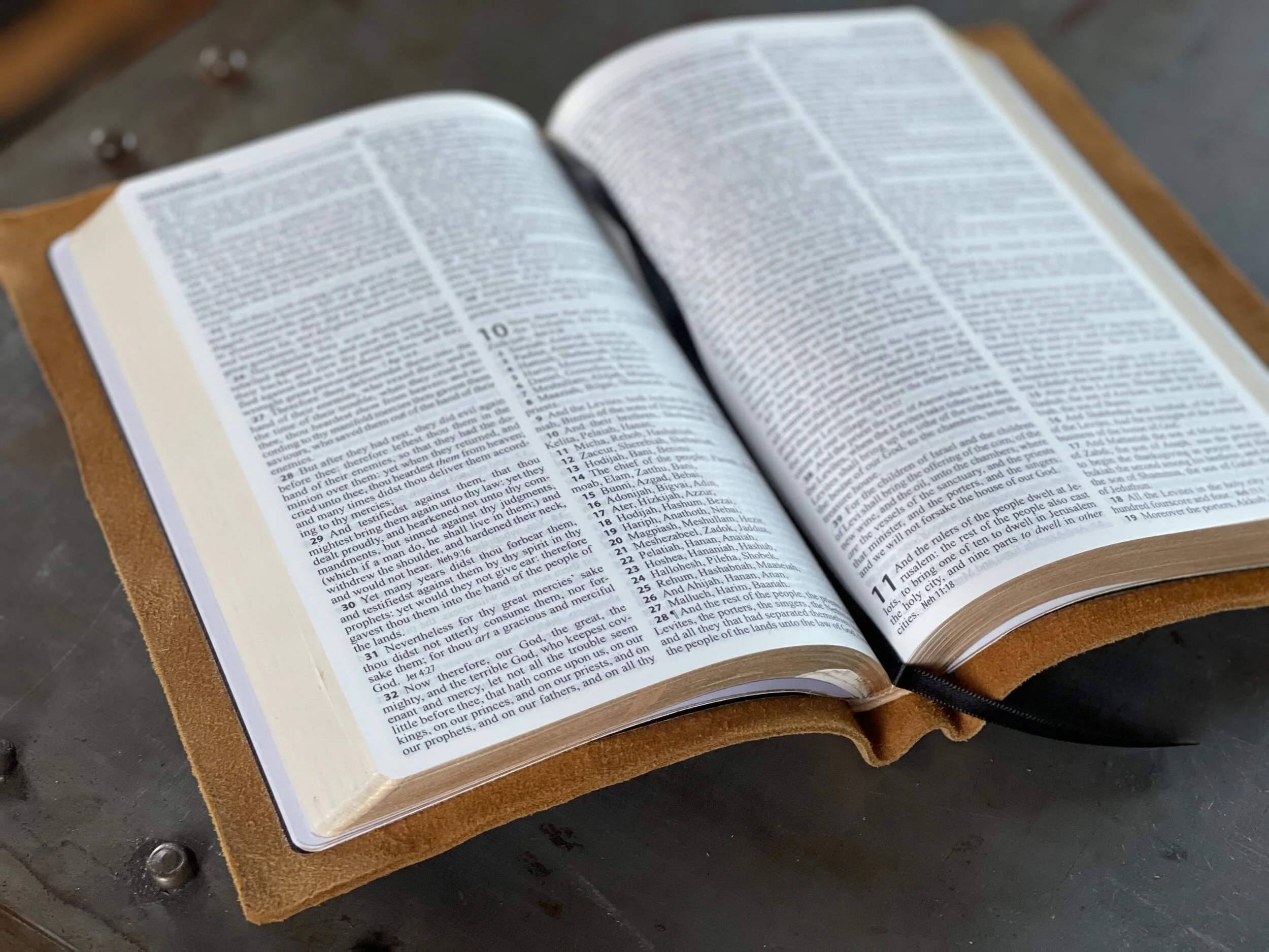 895DA030-DF9A-494E-9CCE-849144AB7582