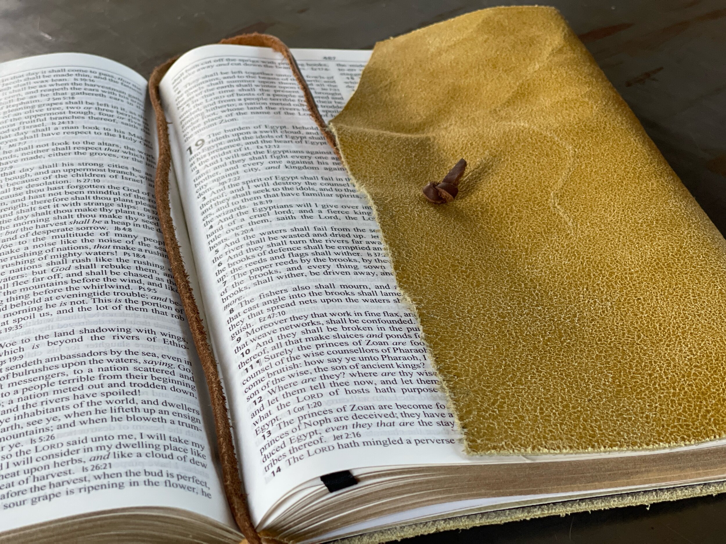 B2752176-FEBC-4523-ABB7-7CCFD4FFFE2C