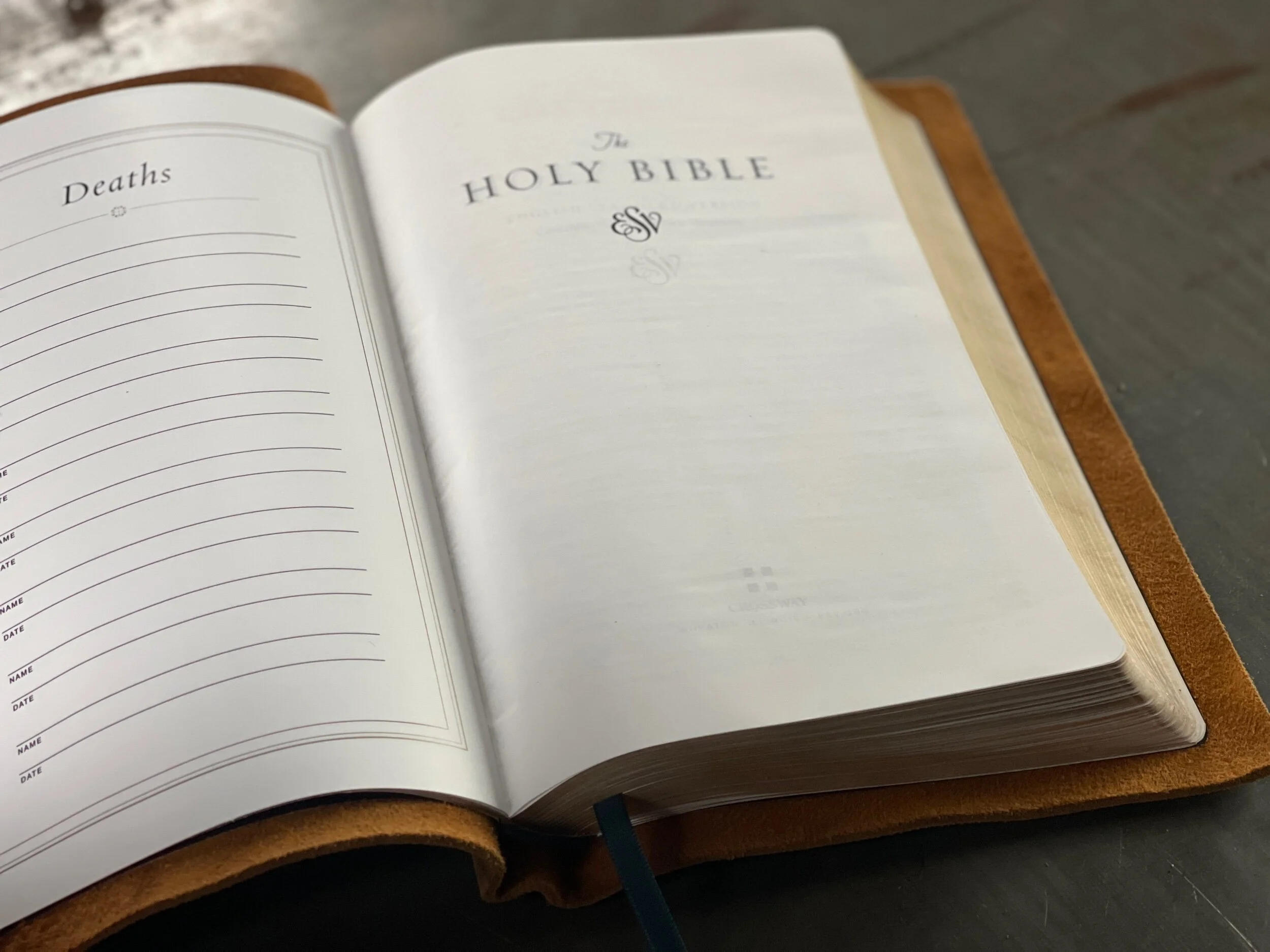 C0D36E50-30E5-4D45-B606-F450CF1AEDA0