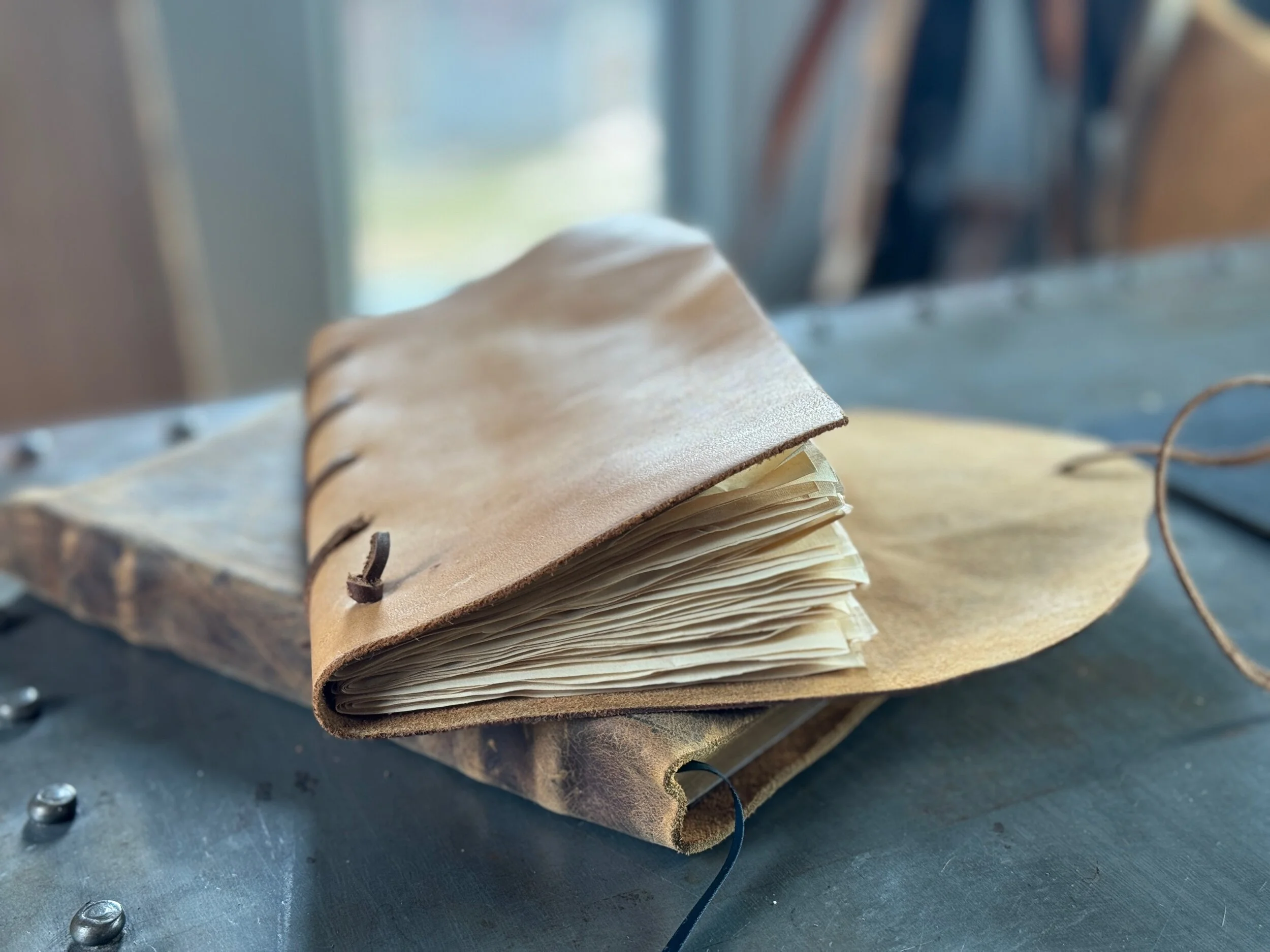 46C8CEC1-3309-4C78-A2A5-D13BEF75E7EC