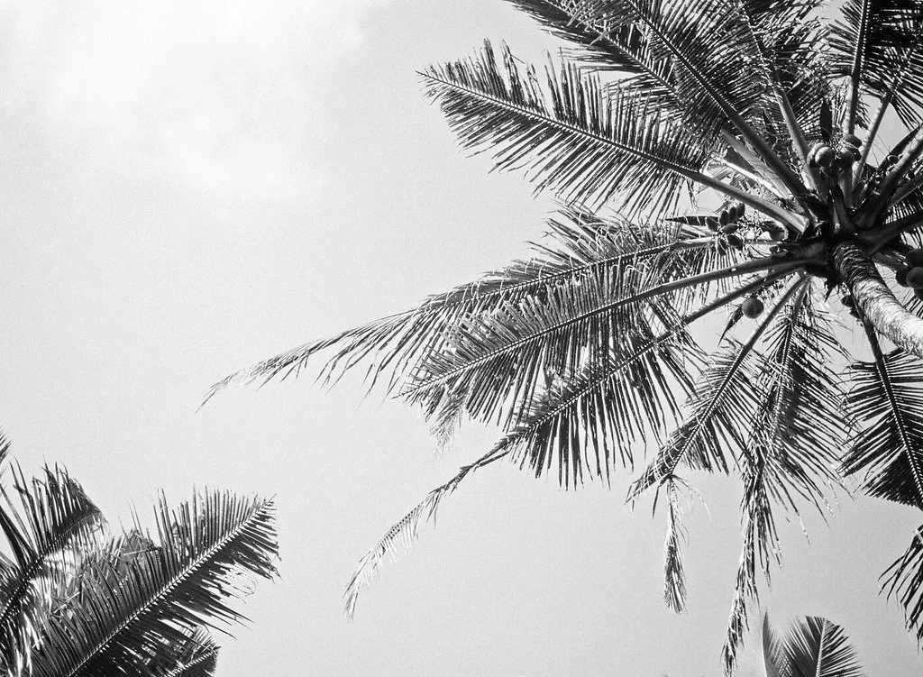 001_Bali_BW.jpg
