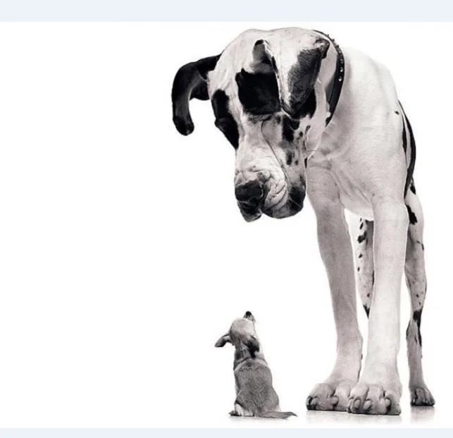 Big Data - is it all that?