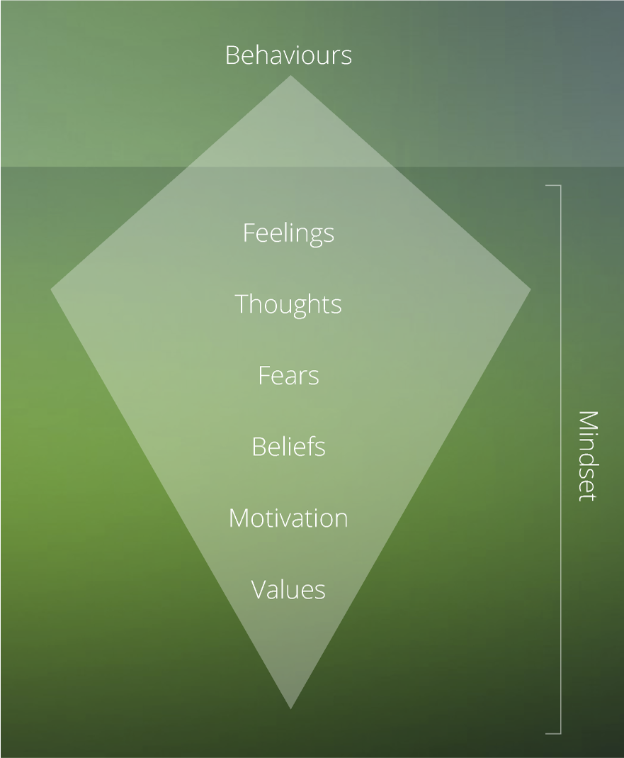 behaviours-iceberg.png