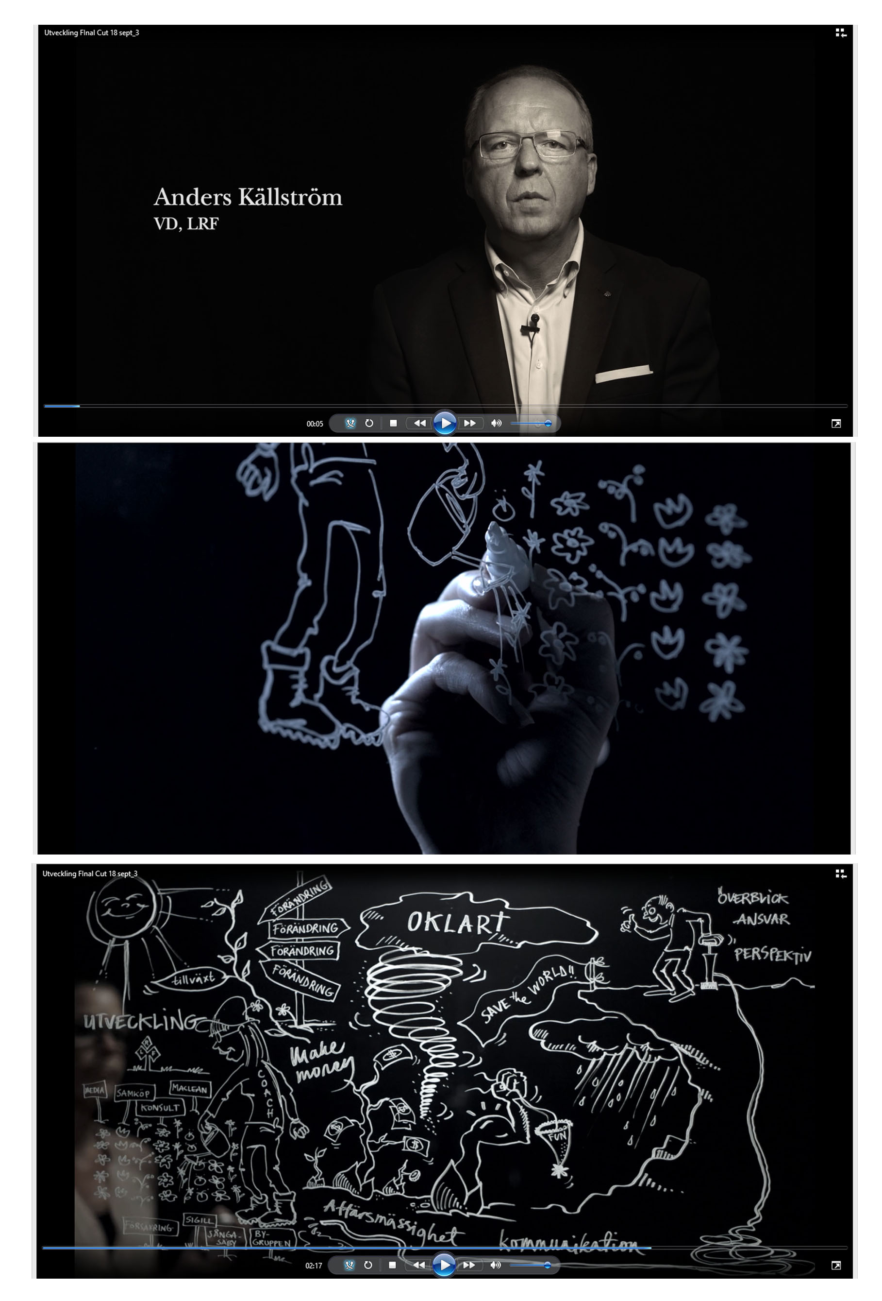 Illustrating Leadership interviews, LRF