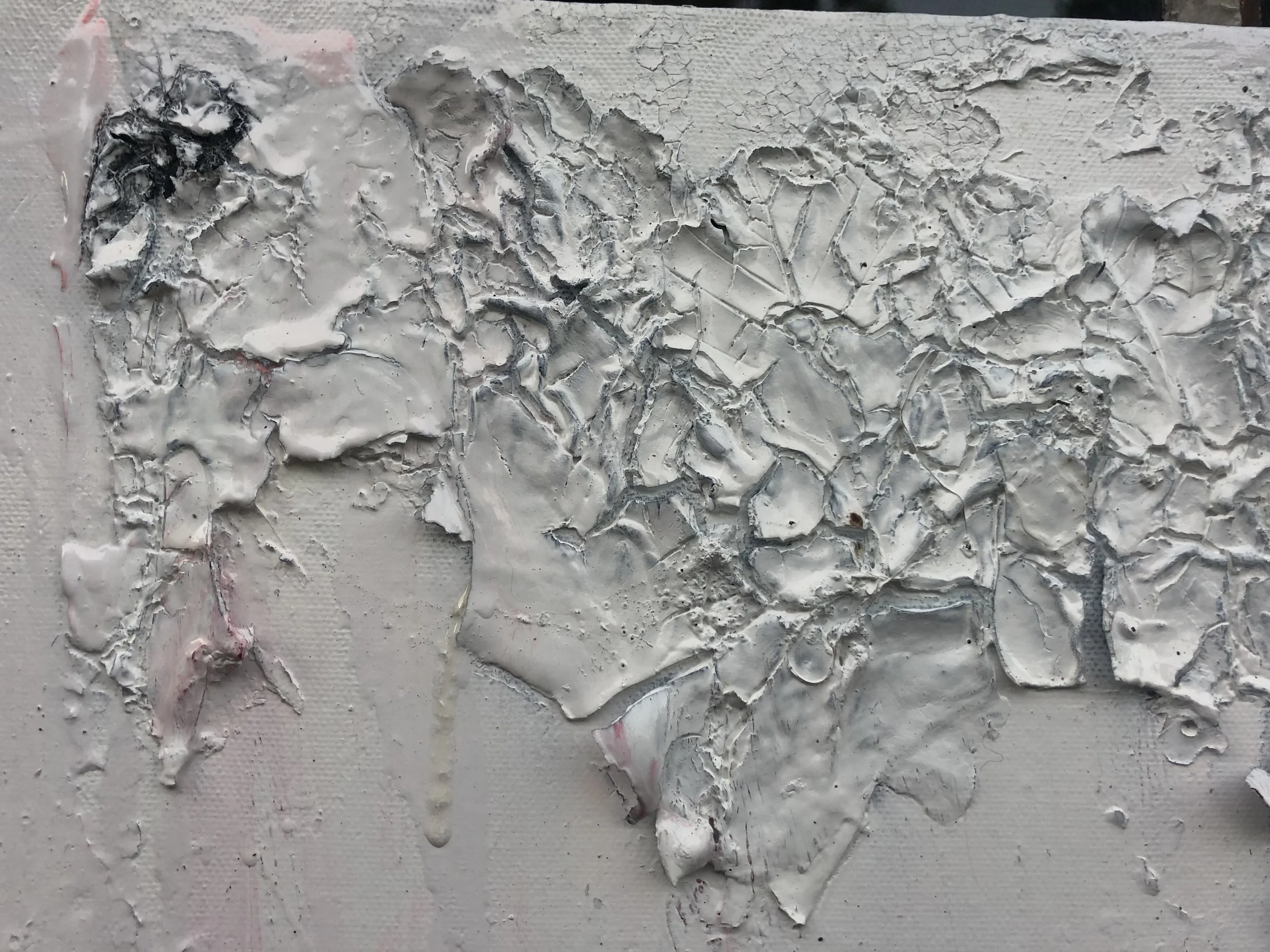 IMG_0992.JPG