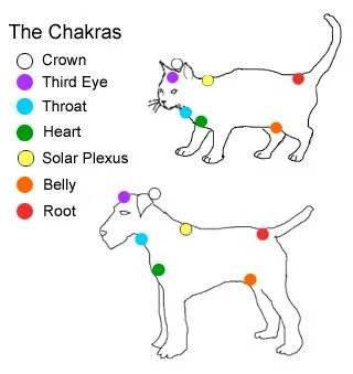 ChakPet.jpg